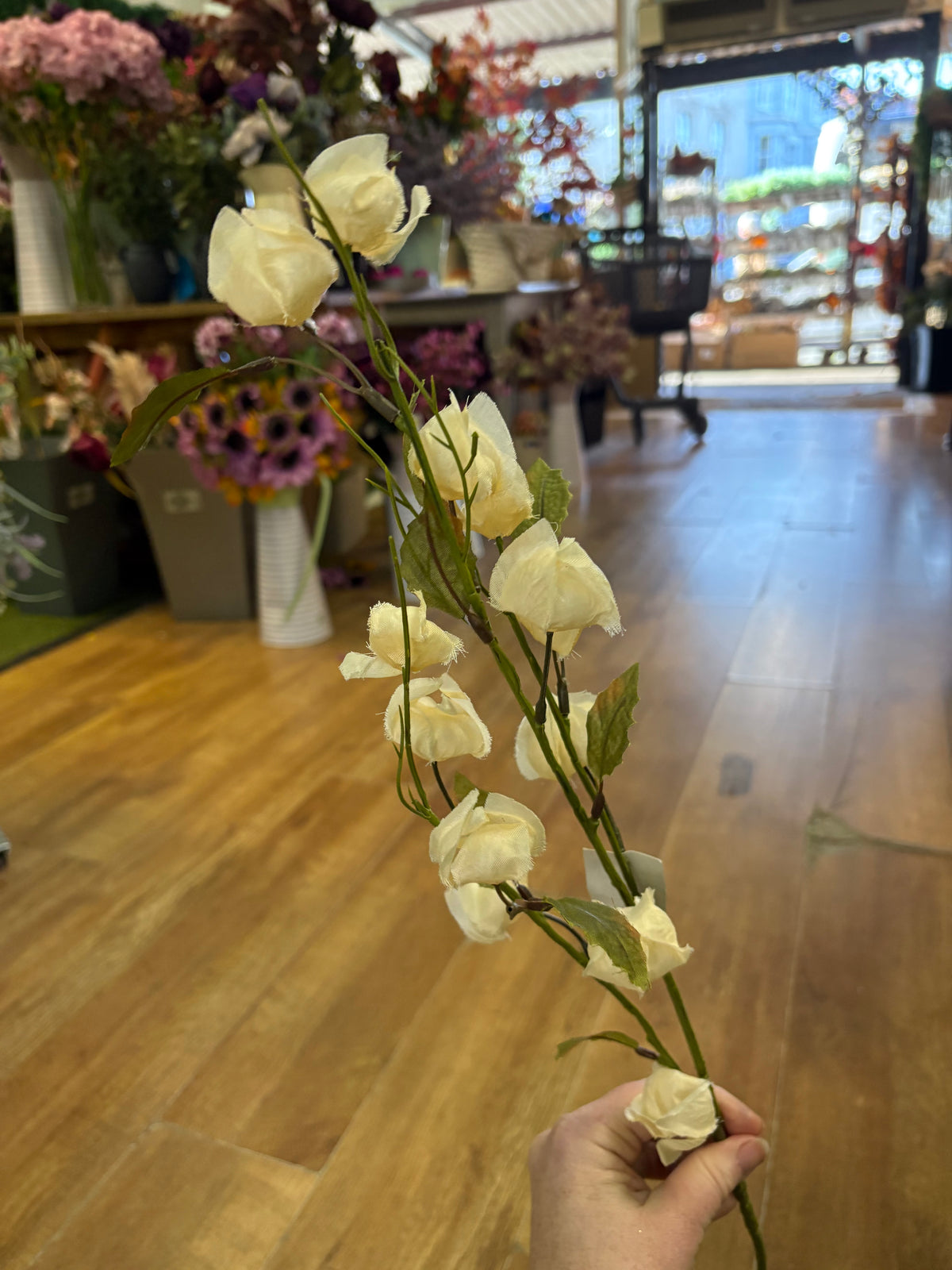 Long stem cream Chinese lantern