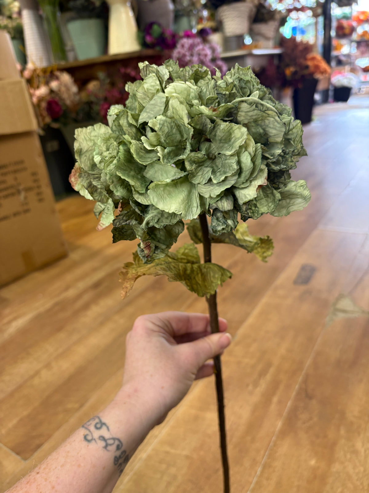 Dried inspired green hydrangea stem
