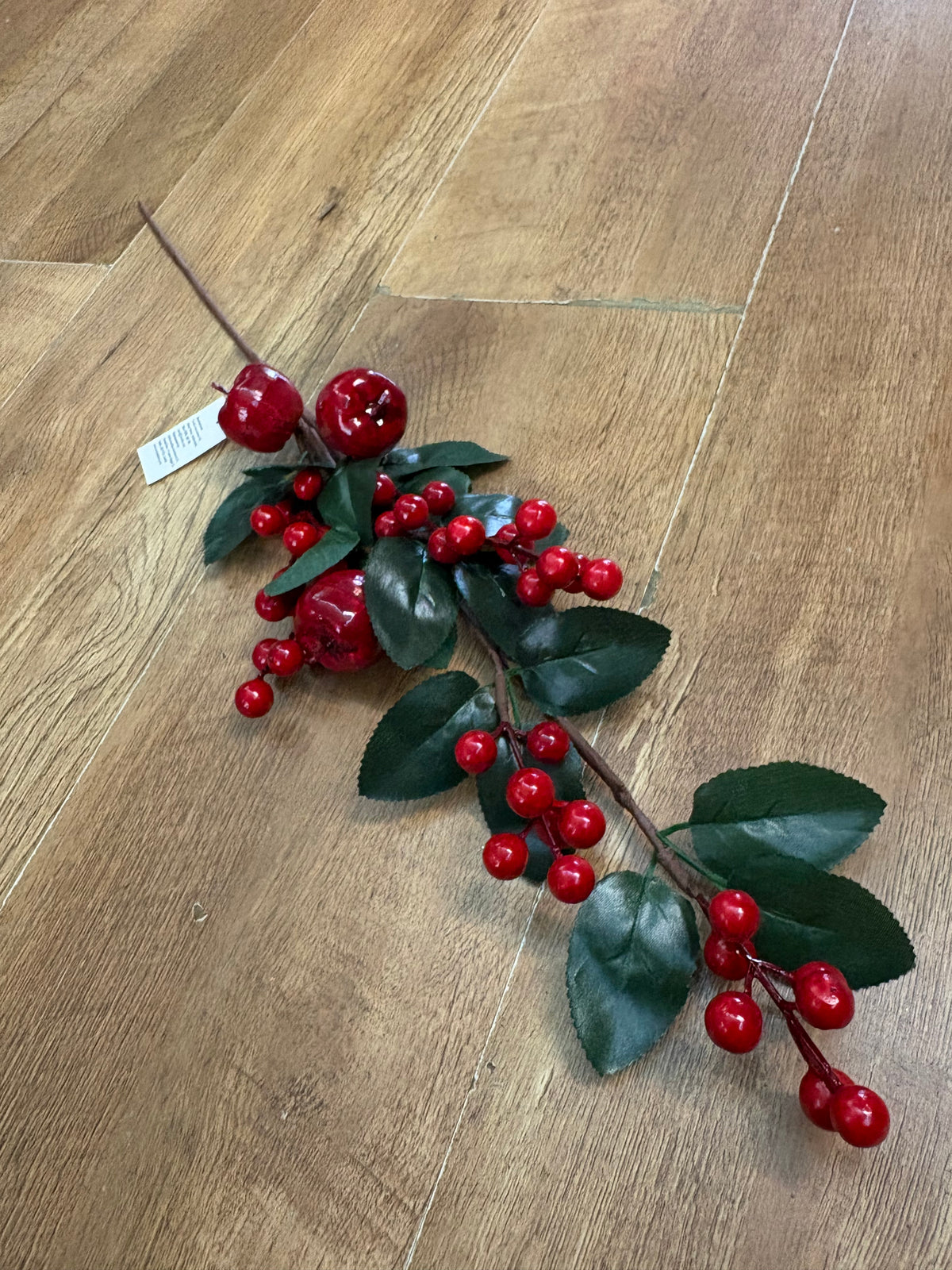 Apple and red berry stem