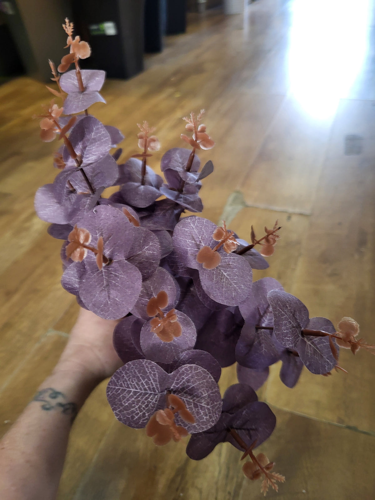 Big bunch purple eucalyptus image 4