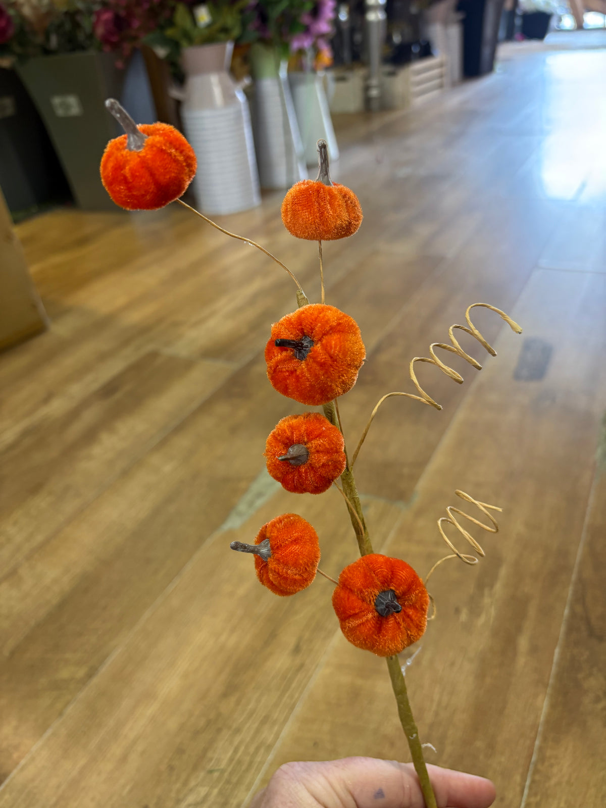 Orange miniature velvet pumpkin stem