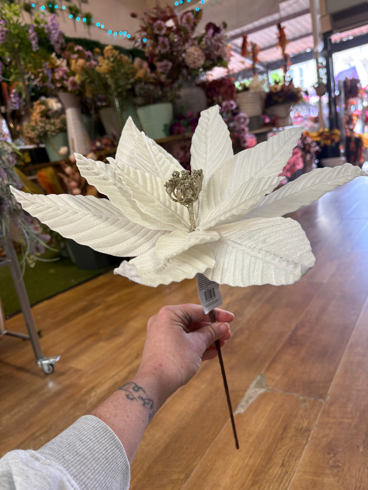 Large white velvet single poinsettia