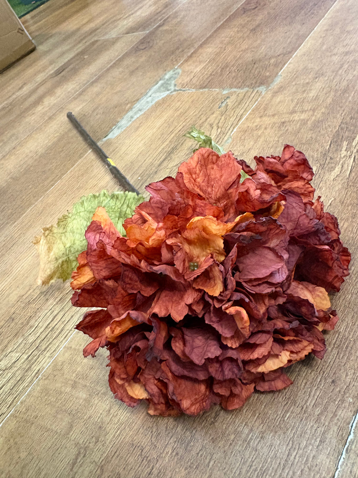 Dried inspired Russet hydrangea stem