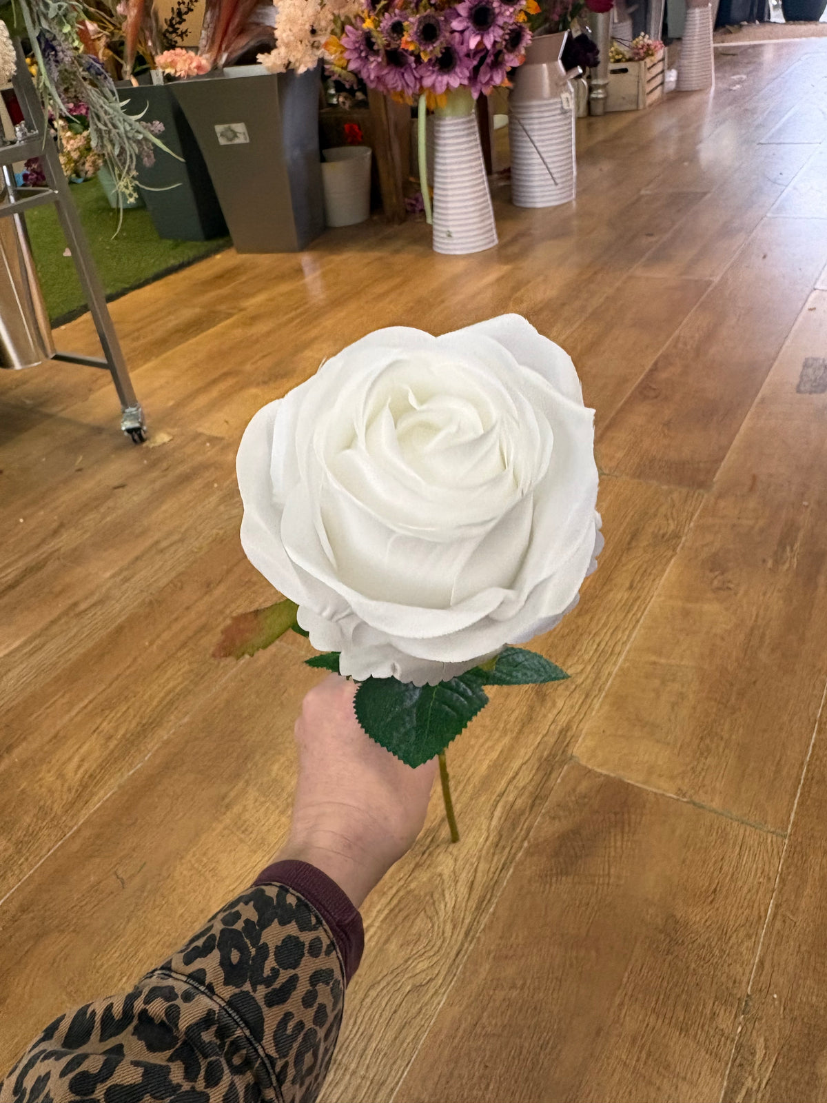 Long stem white harper rose
