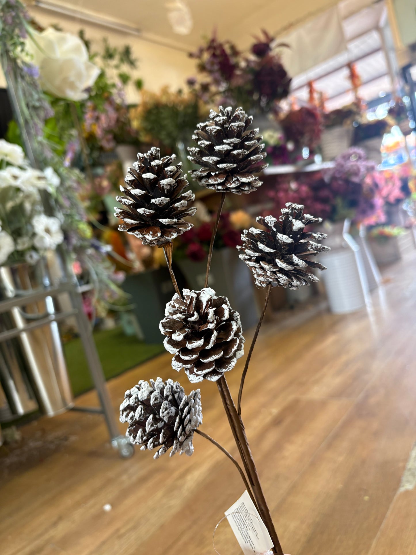 Medium length snowy natural cone stem