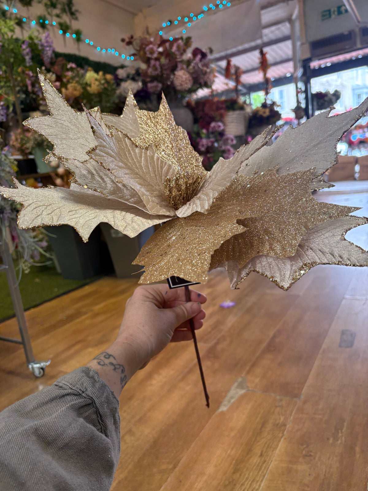 Large champagne and gold, velvet and glittered poinsettia