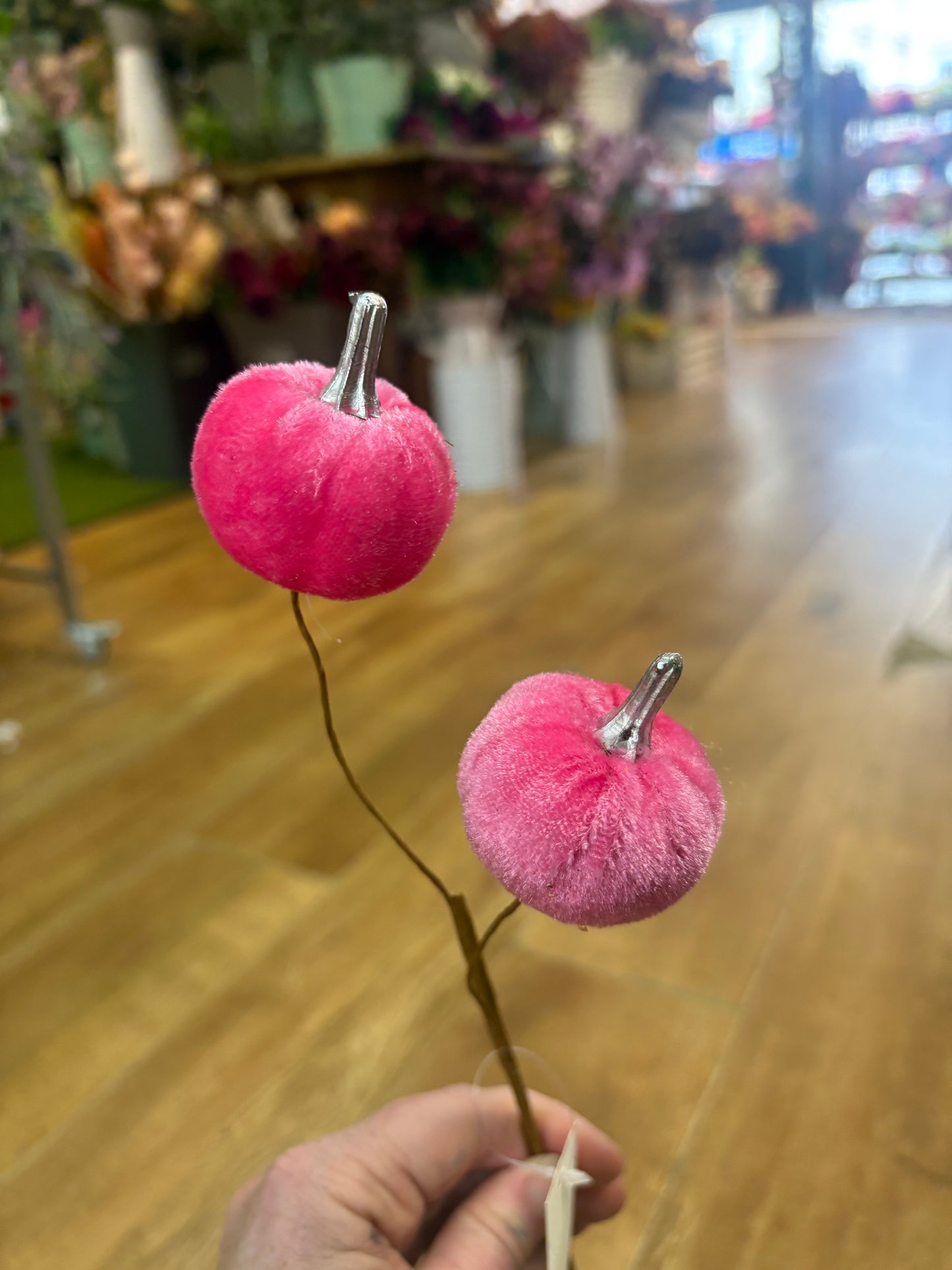Pink velvet pumpkin stem