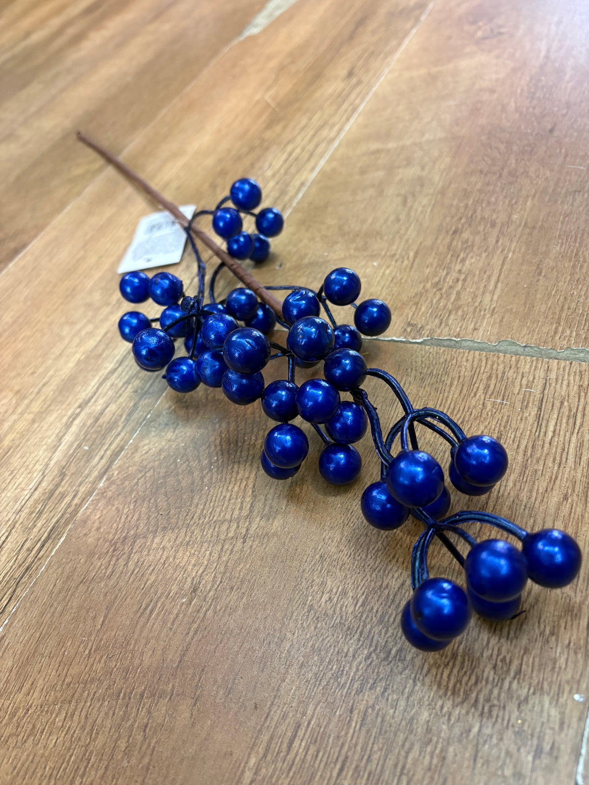 Long stem electric blue berry stem