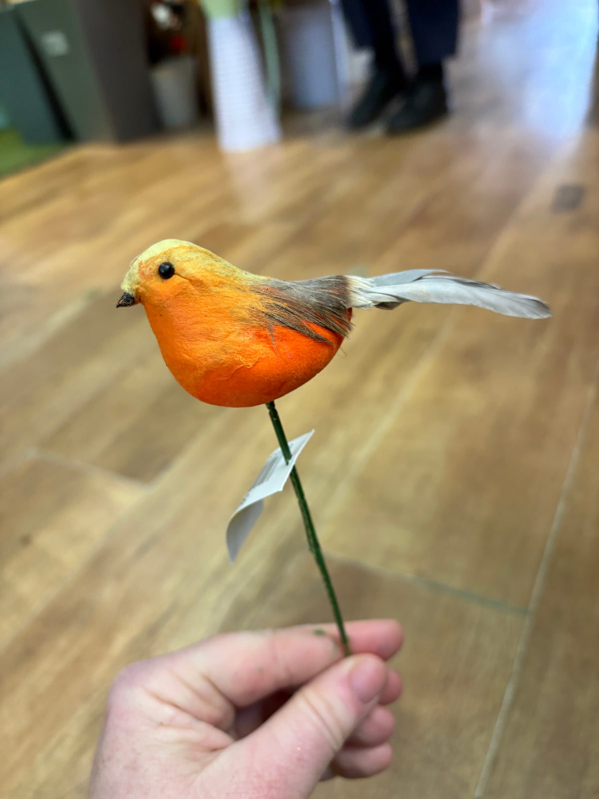 Robin pick