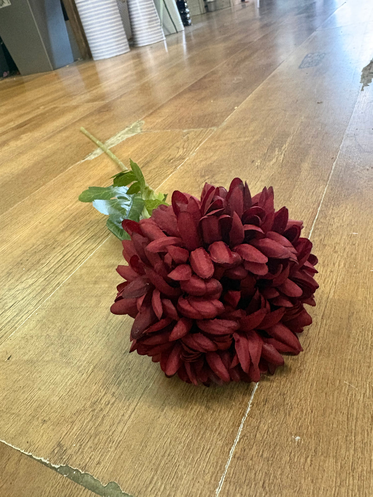 Long stem deep red Pom Pom