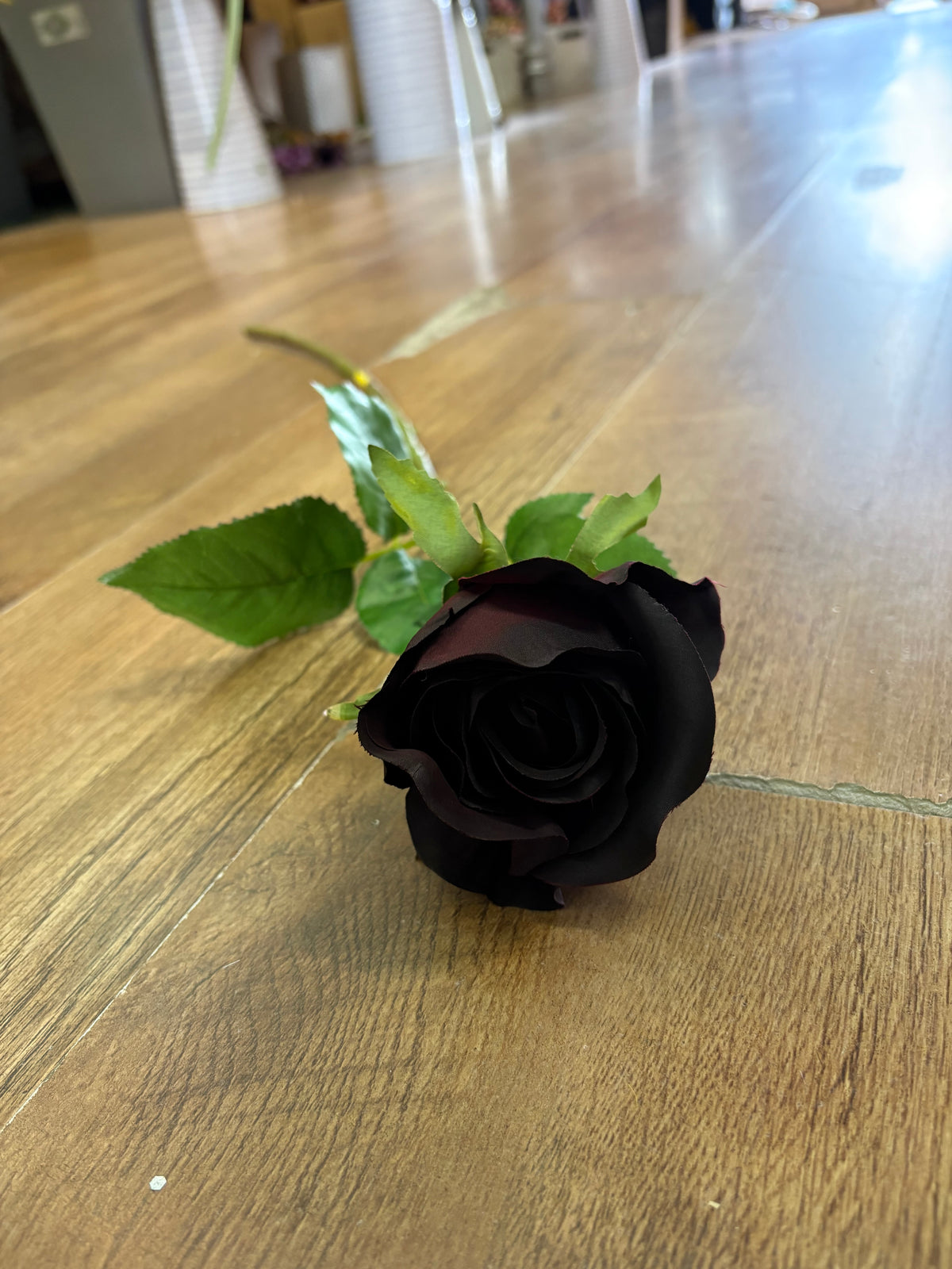Long stem dark winter rose