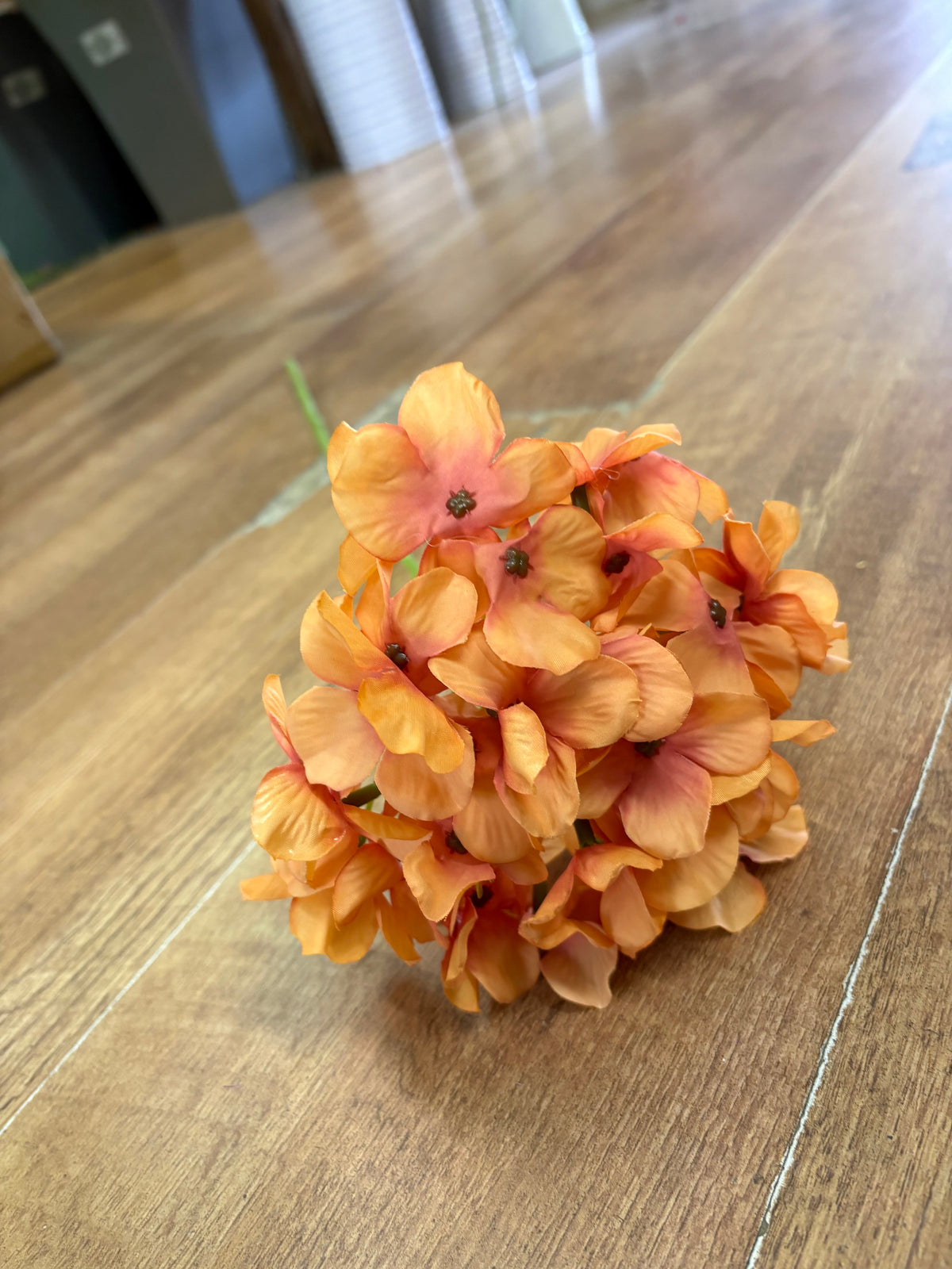 Long stem burnt orange hydrangea