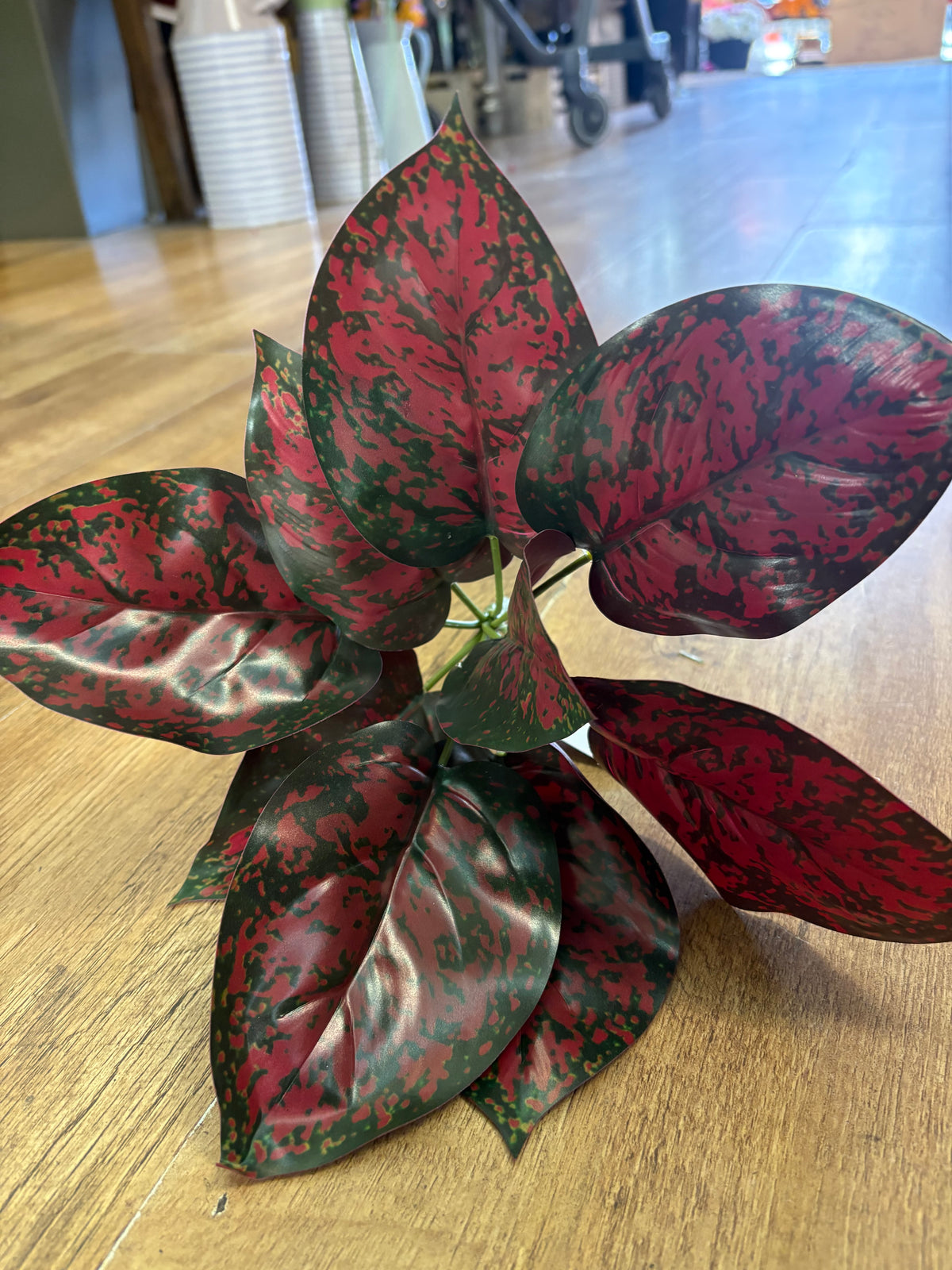 Burgundy and green large leaf bunch
