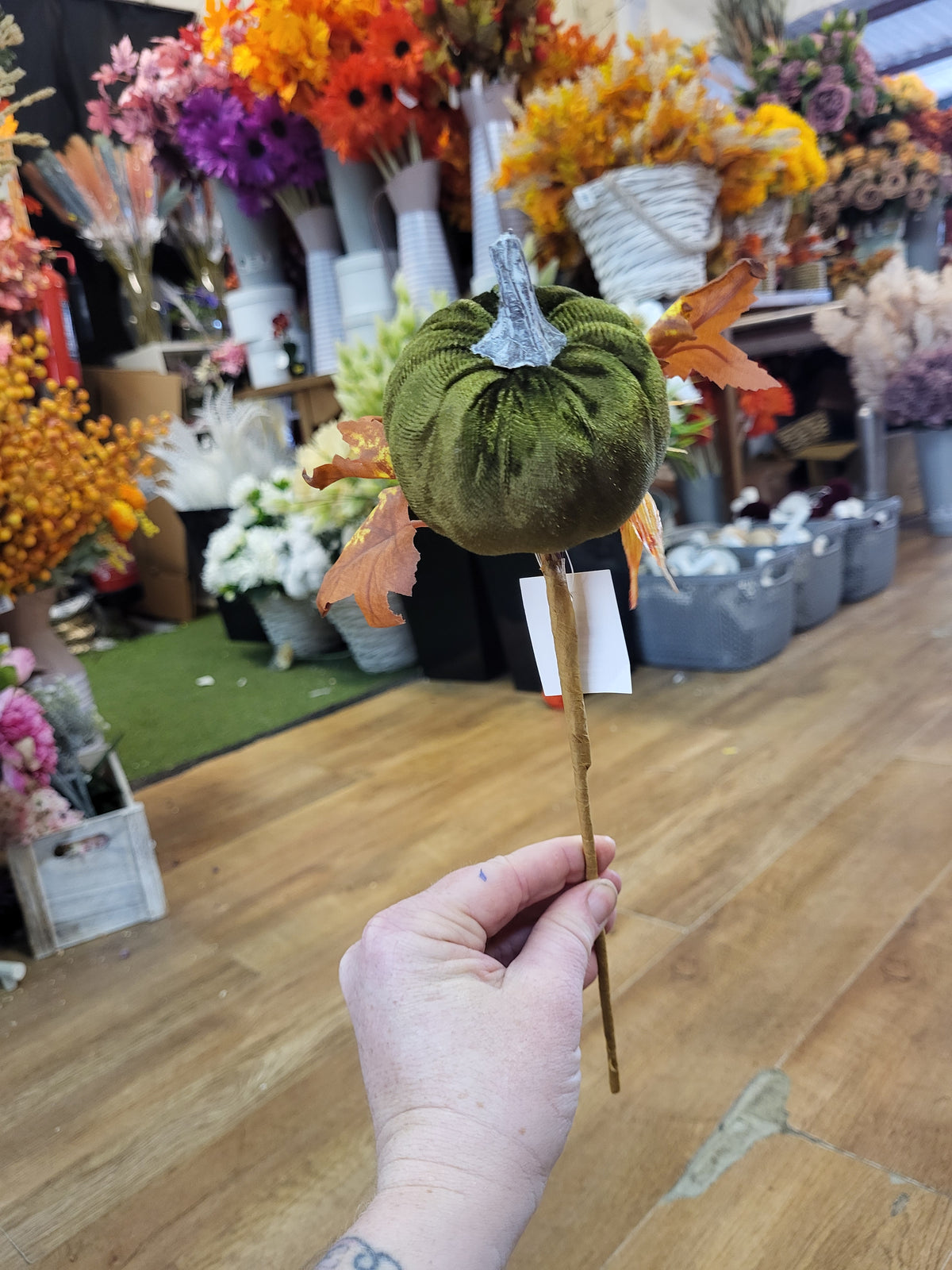 Medium Green velvet pumpkin stem image 4