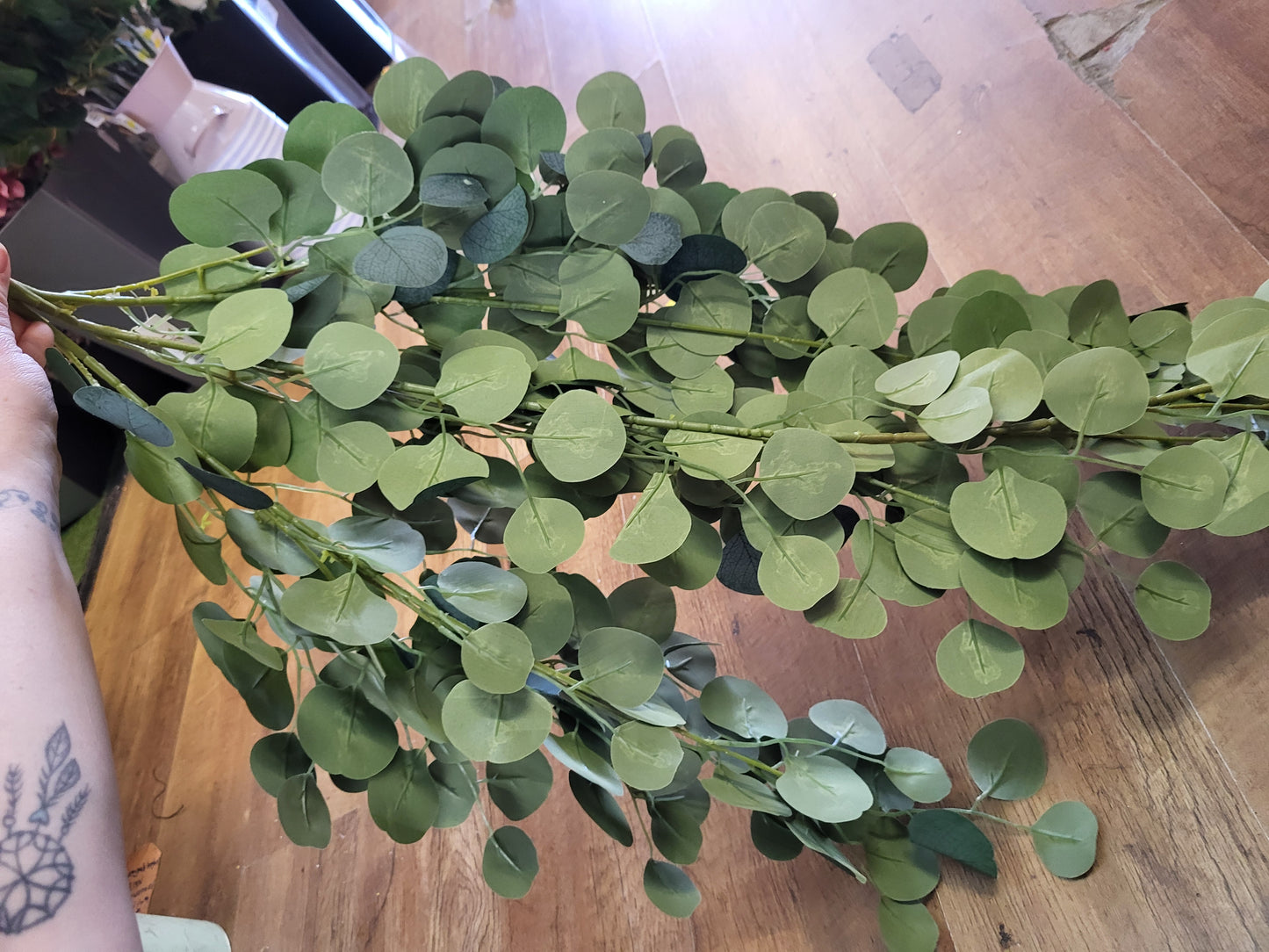 Huge hanging/trailing silver dollar eucalyptus image 7