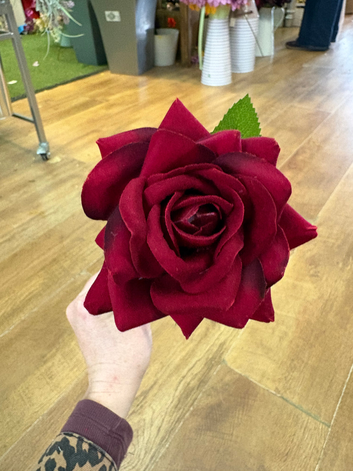 Dark red single velvet rose