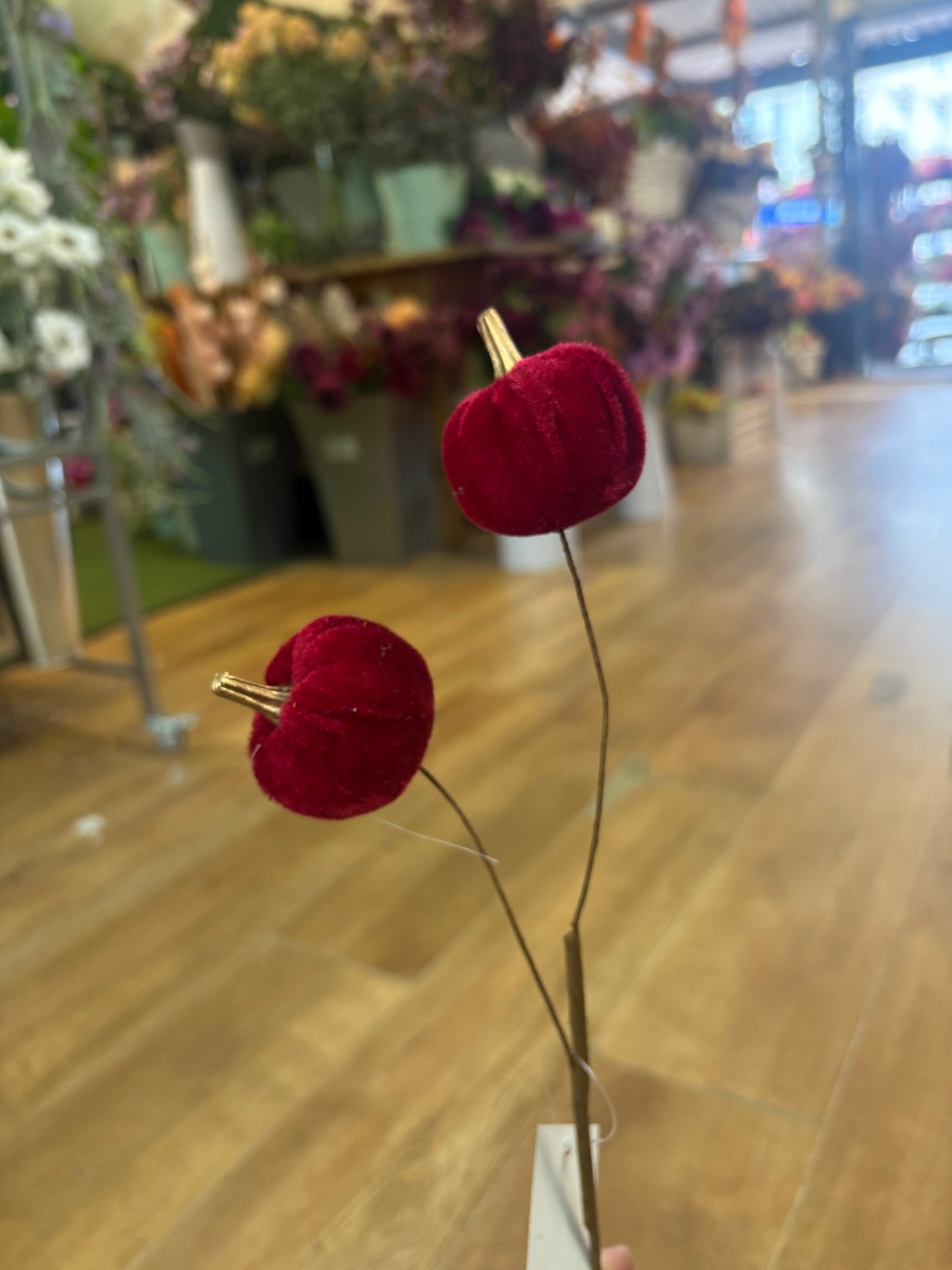 Burgundy velvet pumpkin stem