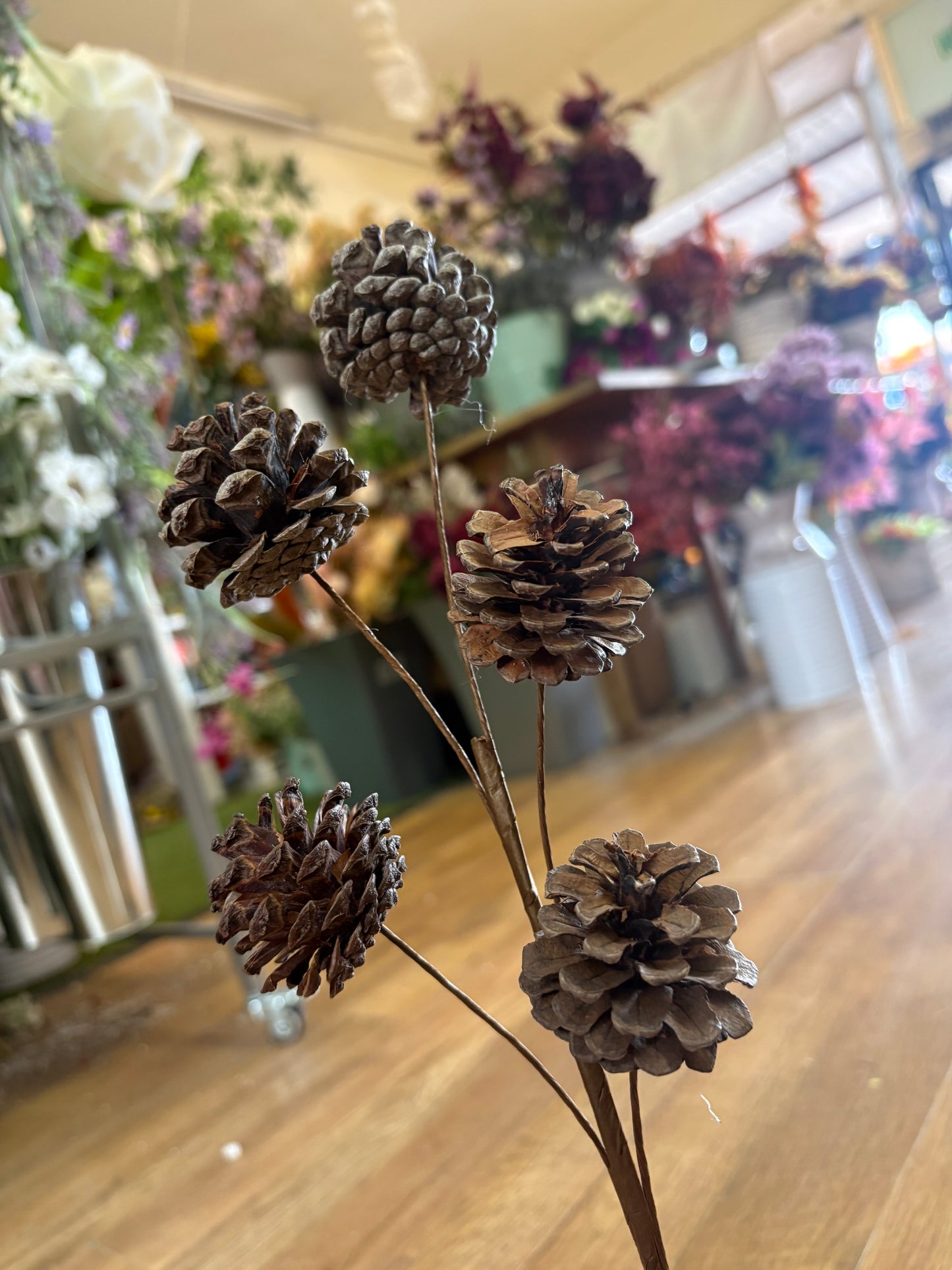 Medium length natural cone stem
