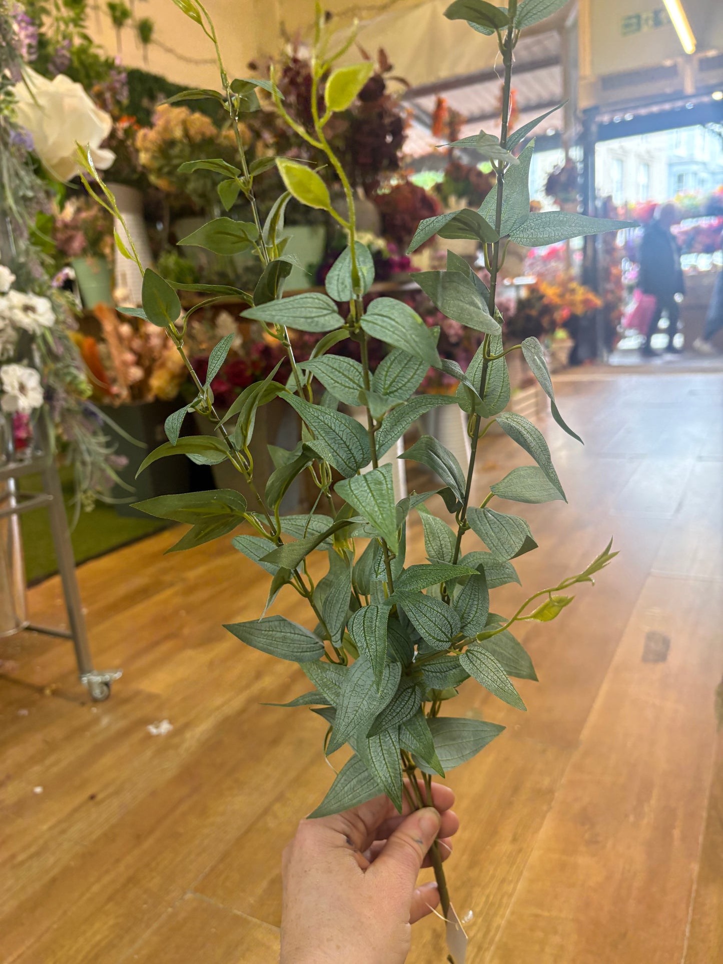 Long stem natural green Italian ruscus spray