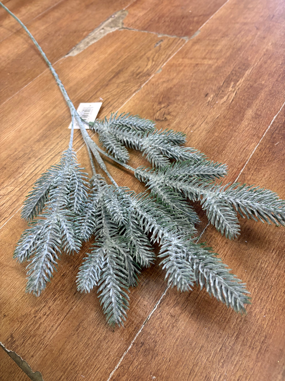 Long stem frosted pine spray