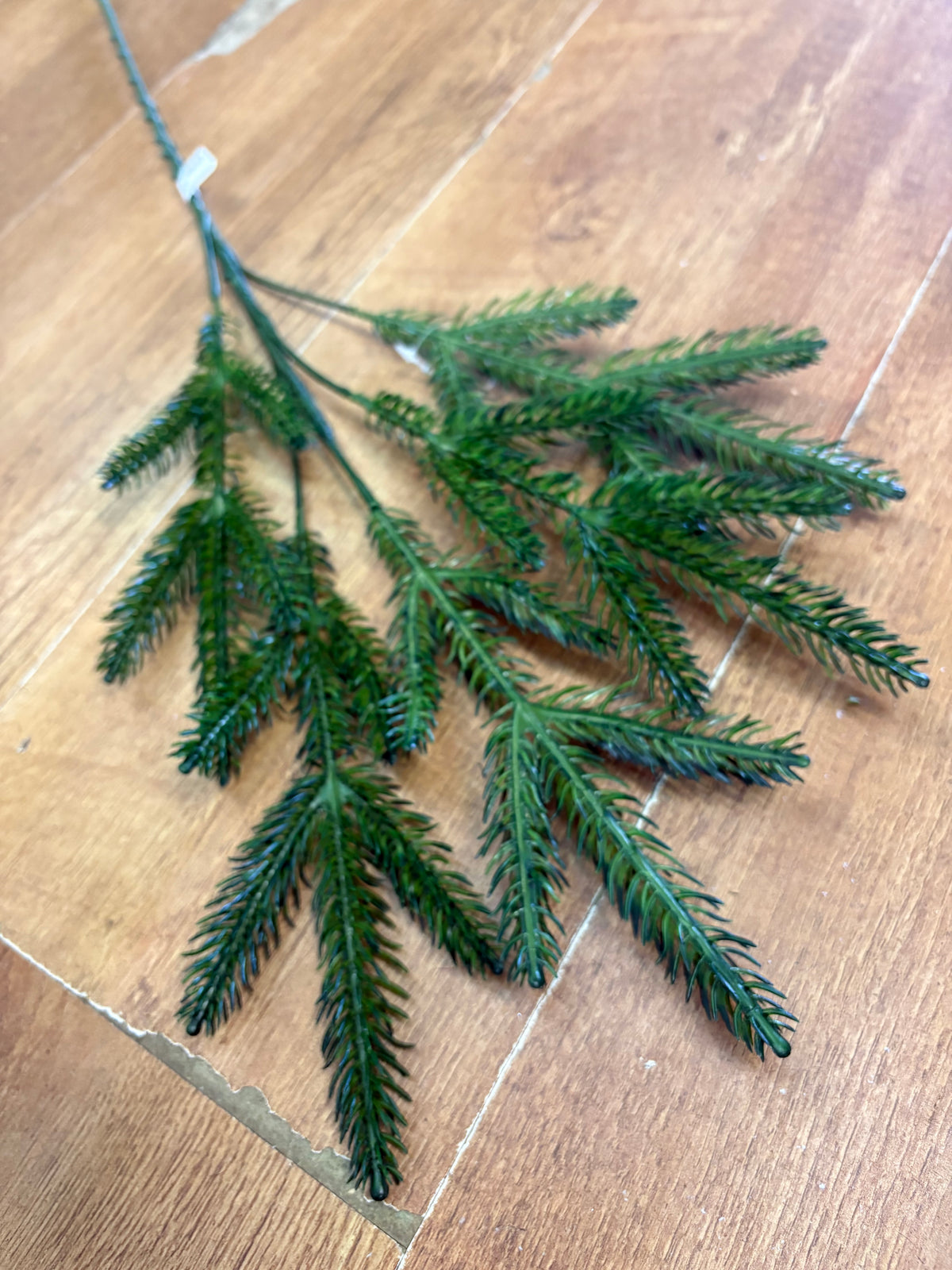 Long stem pine spray