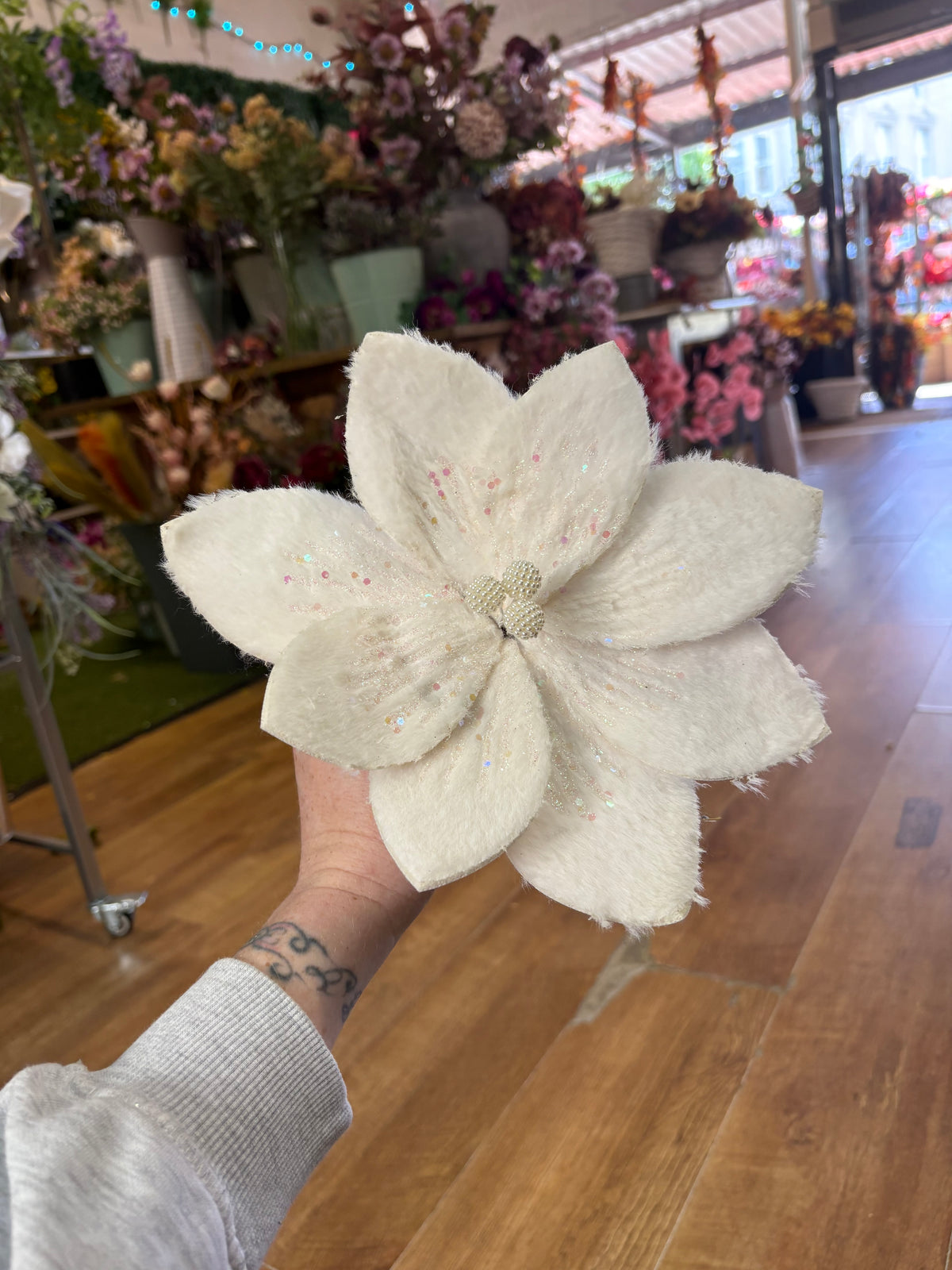 Fluffy white glittered single poinsettia