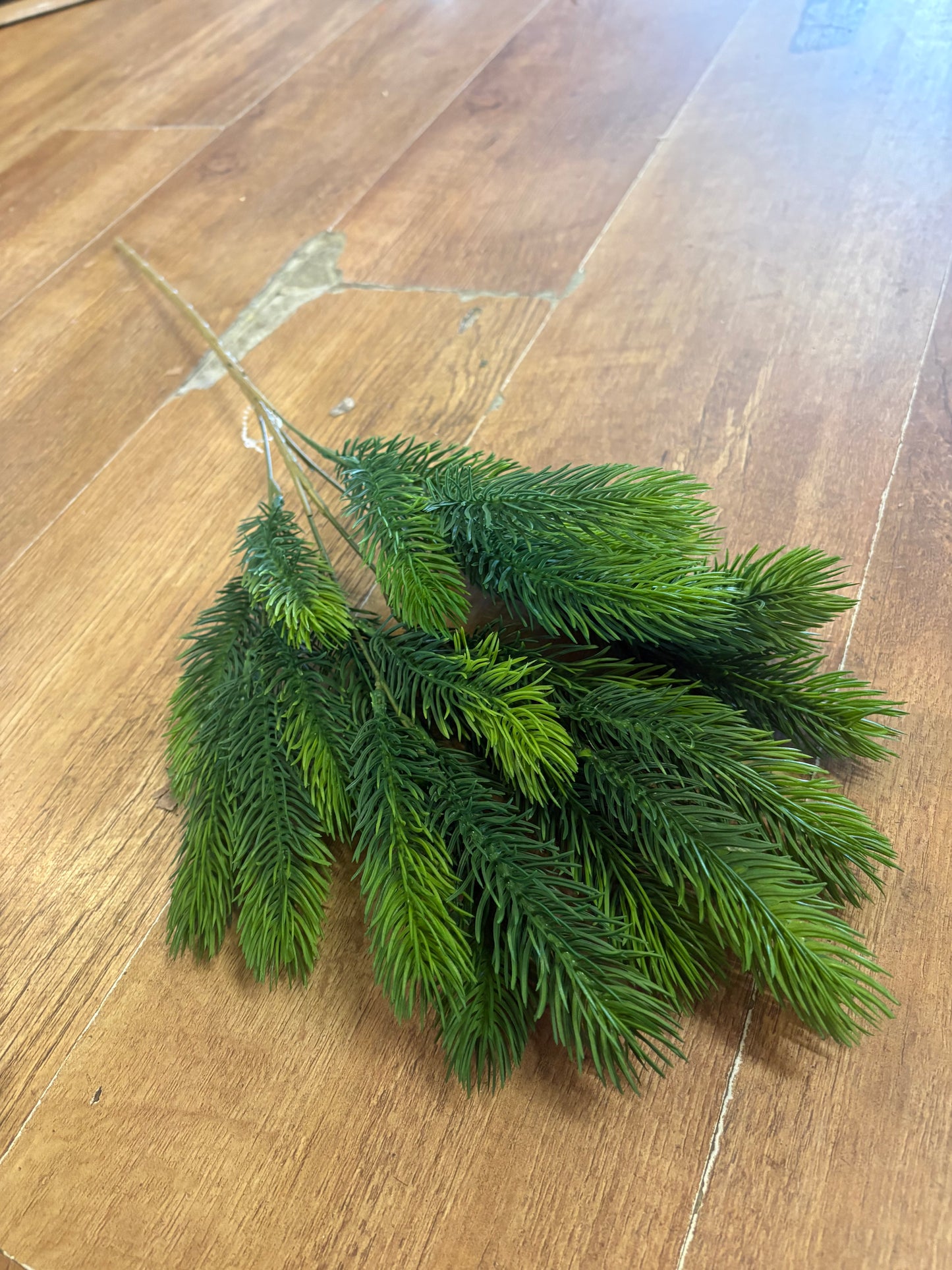 Long stem green winter spruce spray