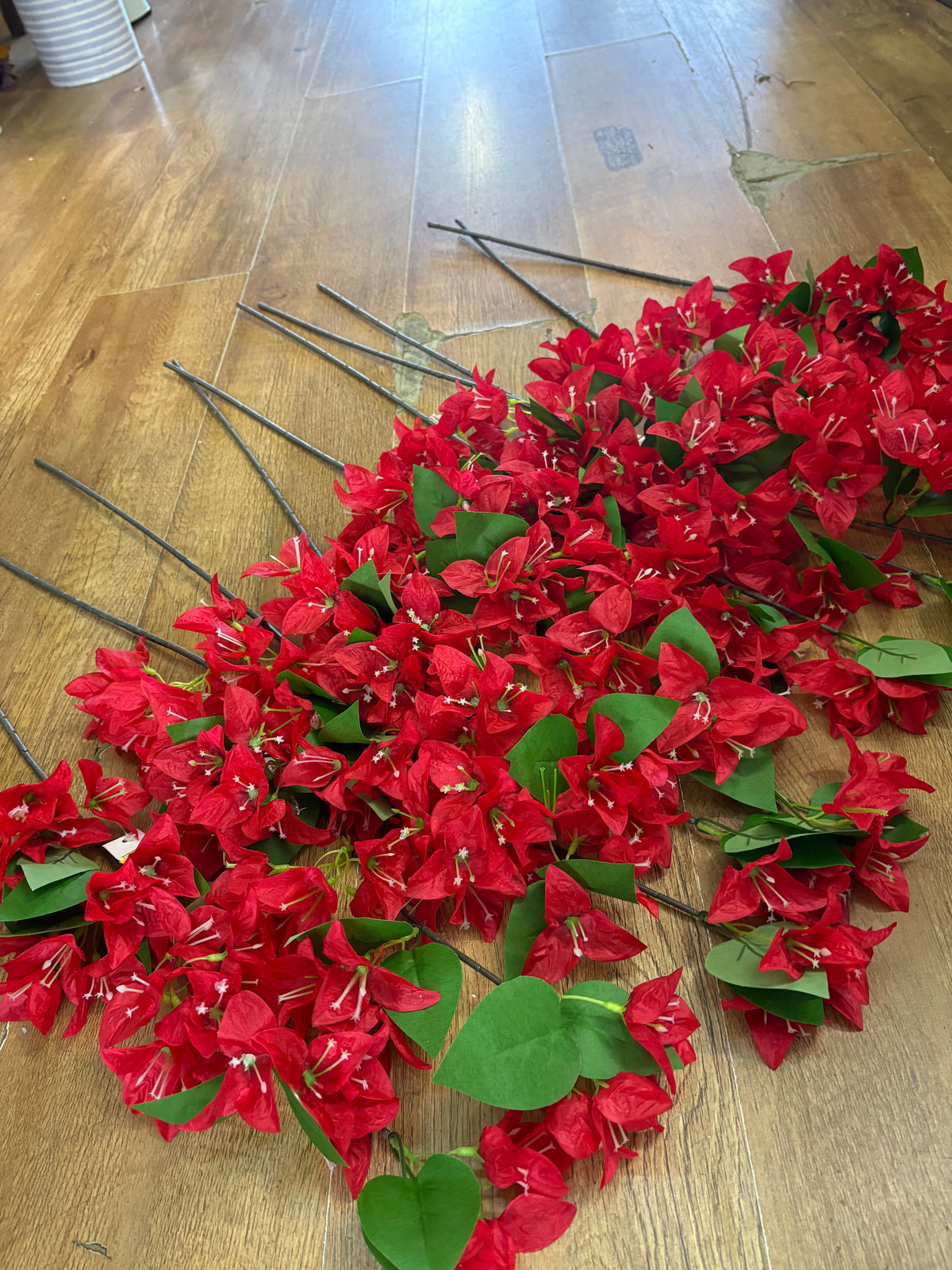 Bundle of 10 long stem red bougainvillea