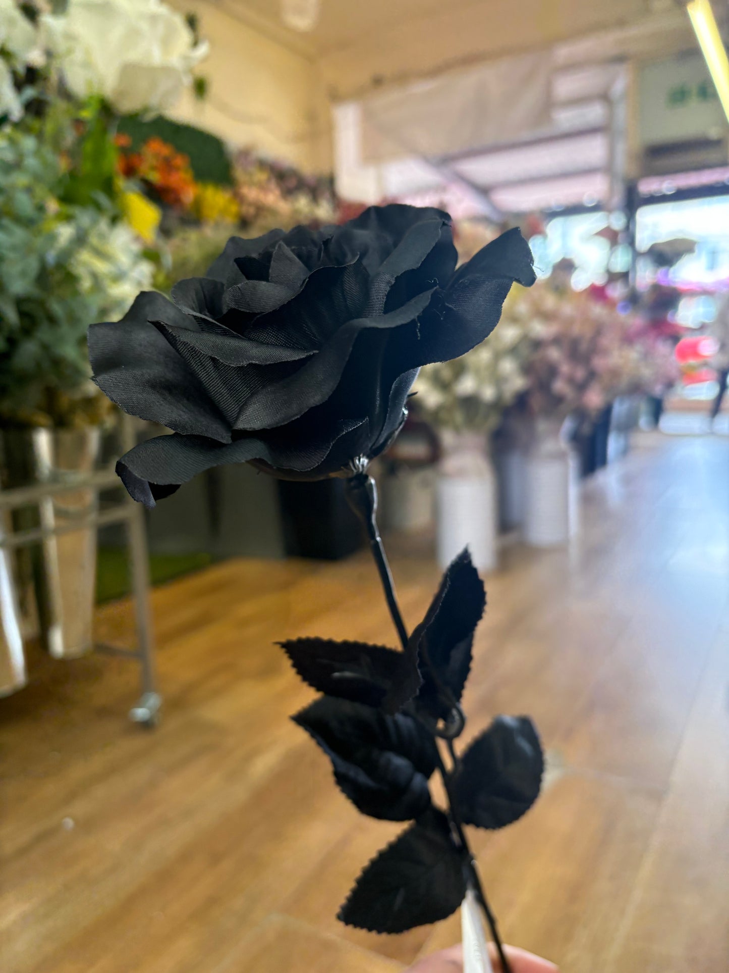 Long stem black open rose