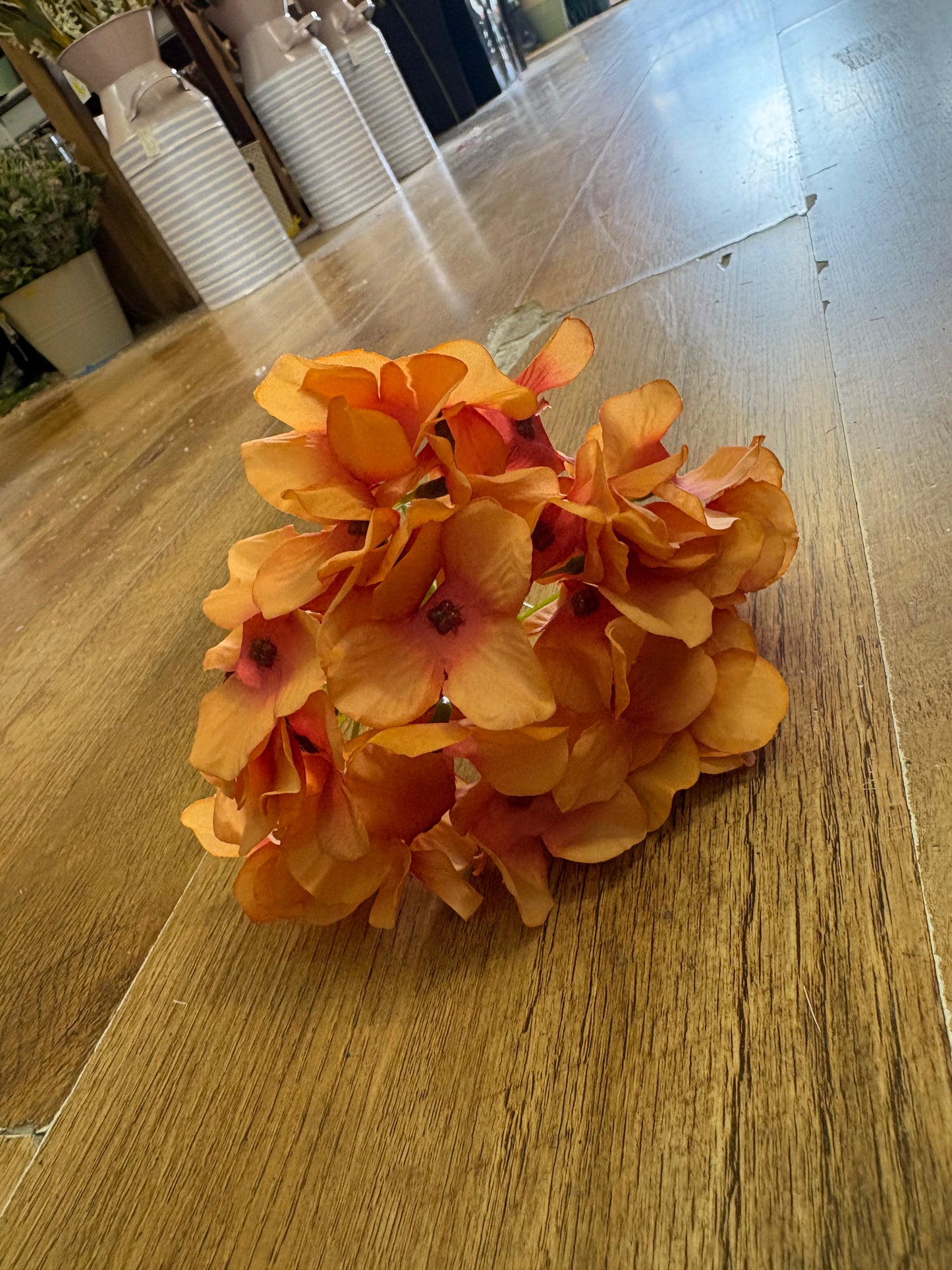 Long stem single burnt orange hydrangea