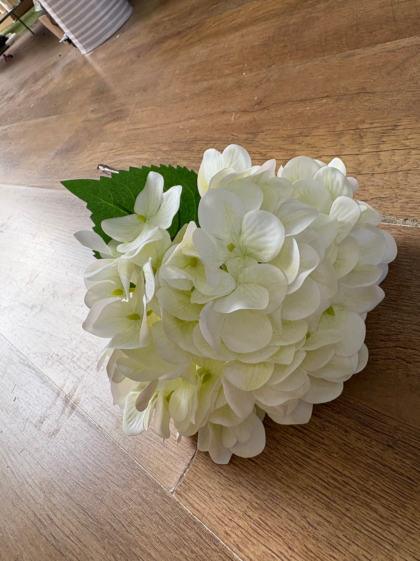 Medium length ivory single hydrangea