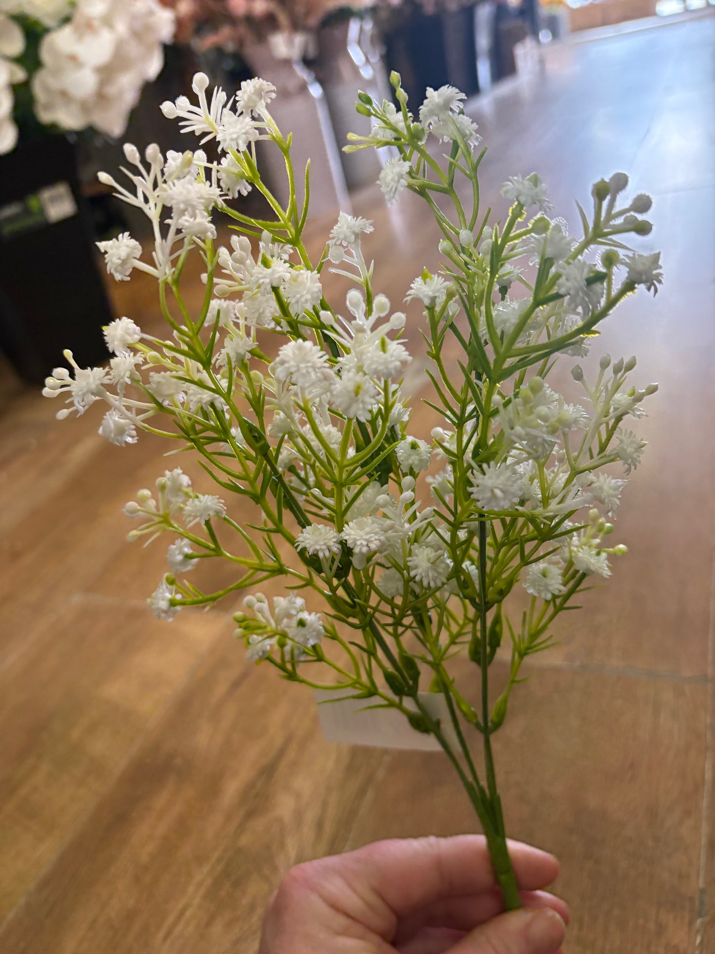 Budding gypsophila bunch