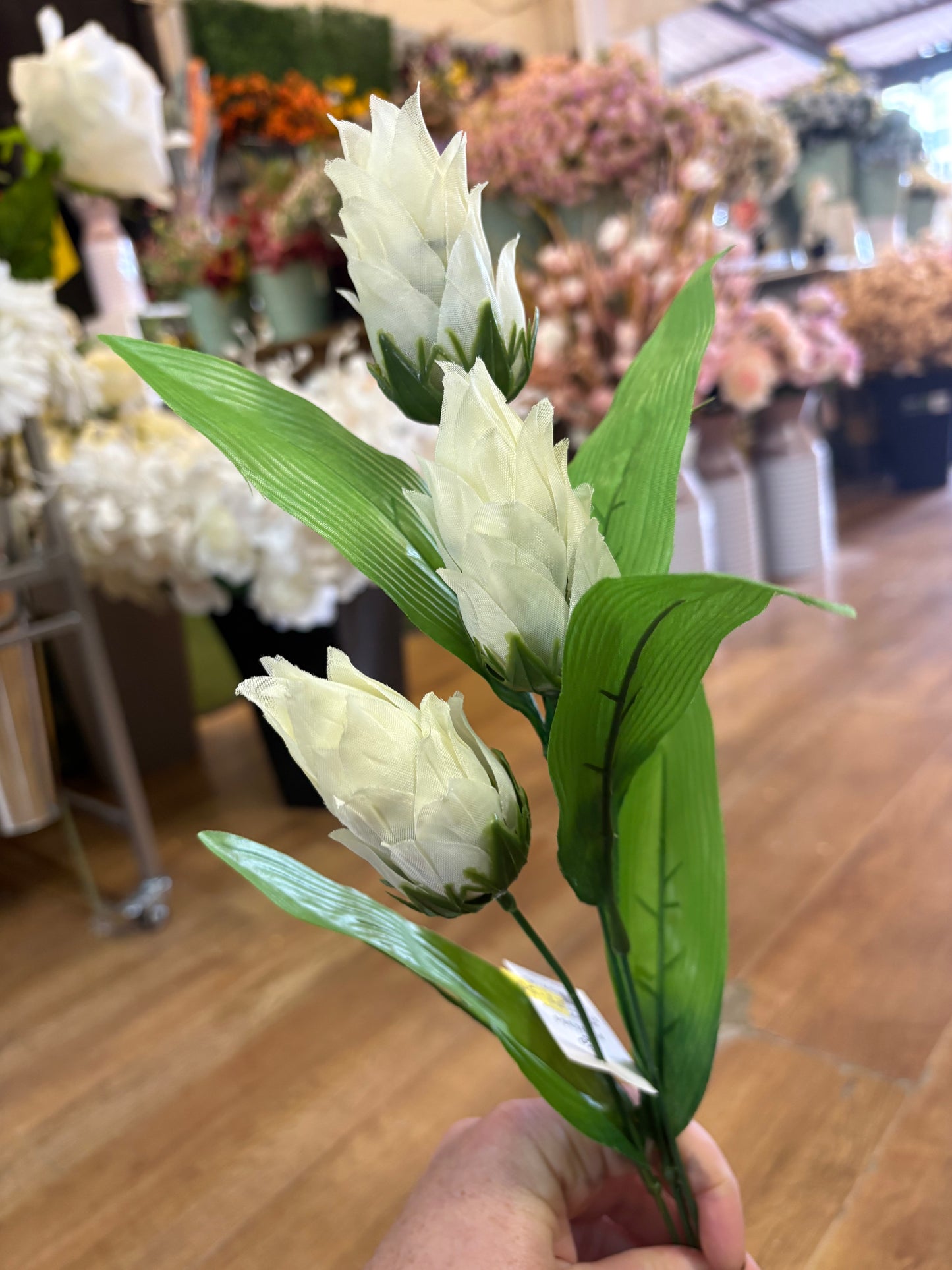 Long dragonfruit stem - 4 colours available