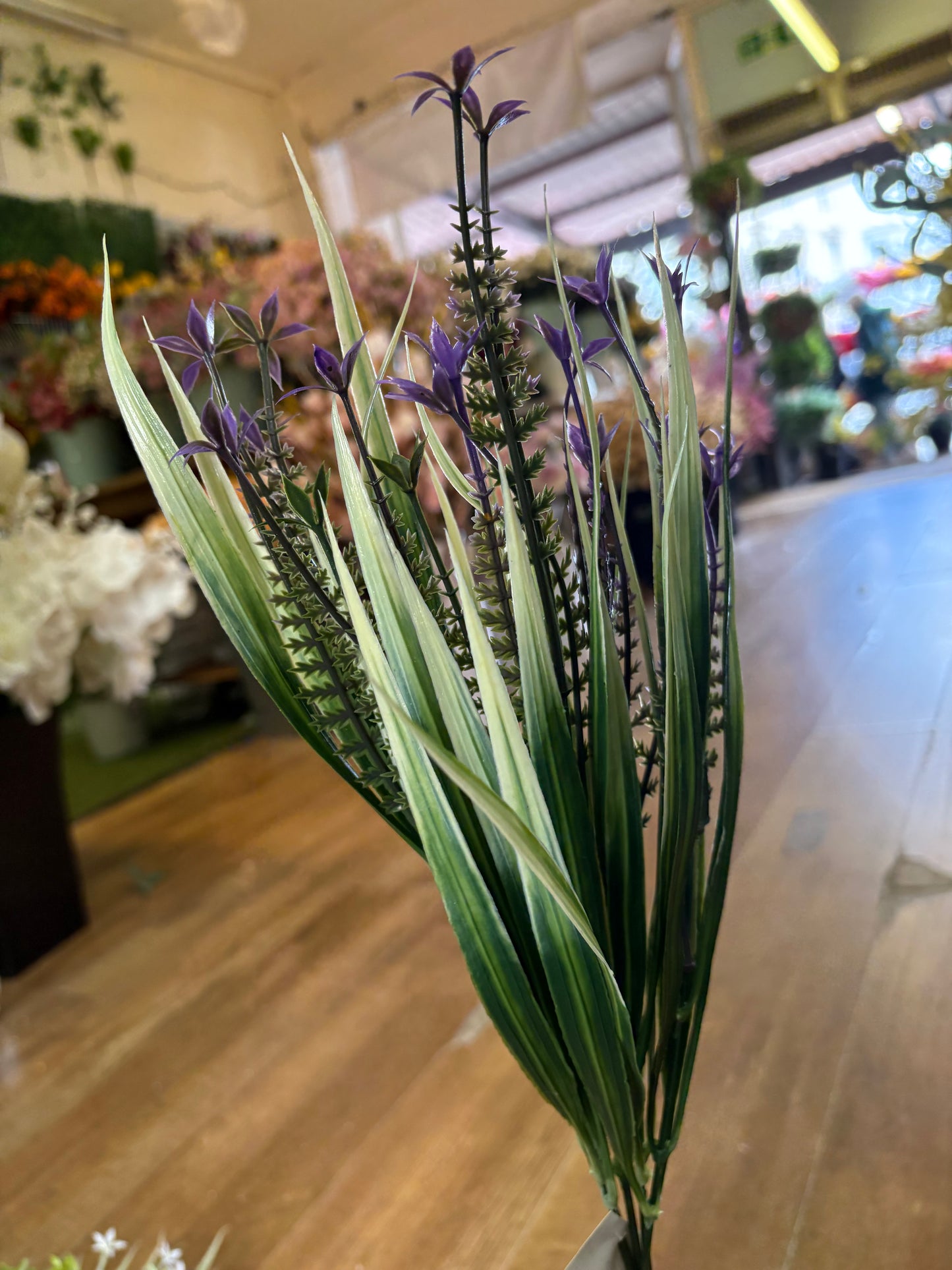 Cyperus Longus - 4 colours available