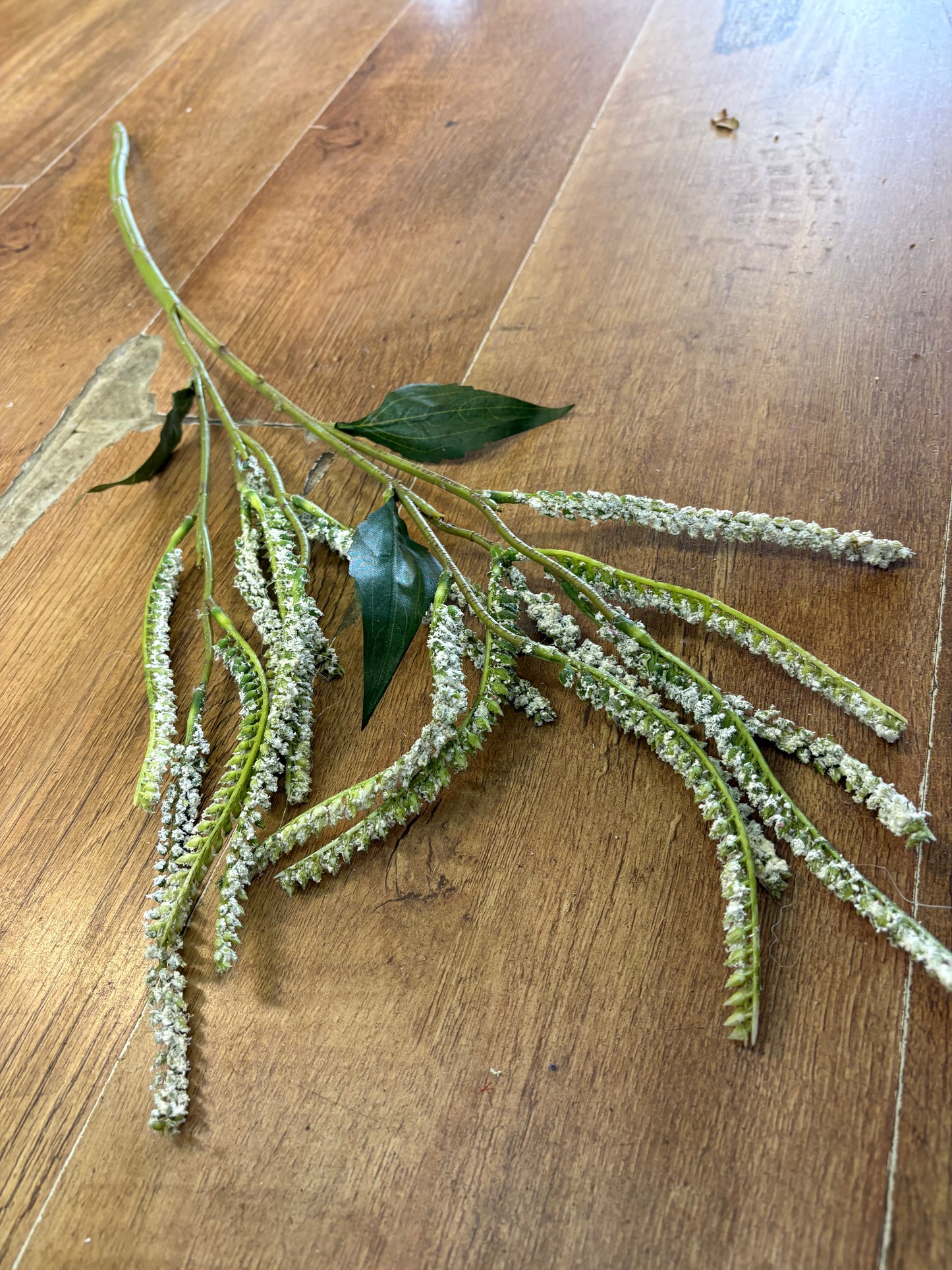 72cm white Salvia spray