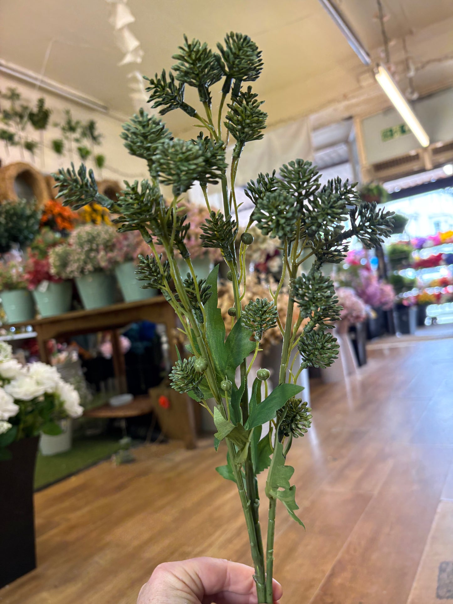 84cm tall green fire bud spray (buds 2cm)