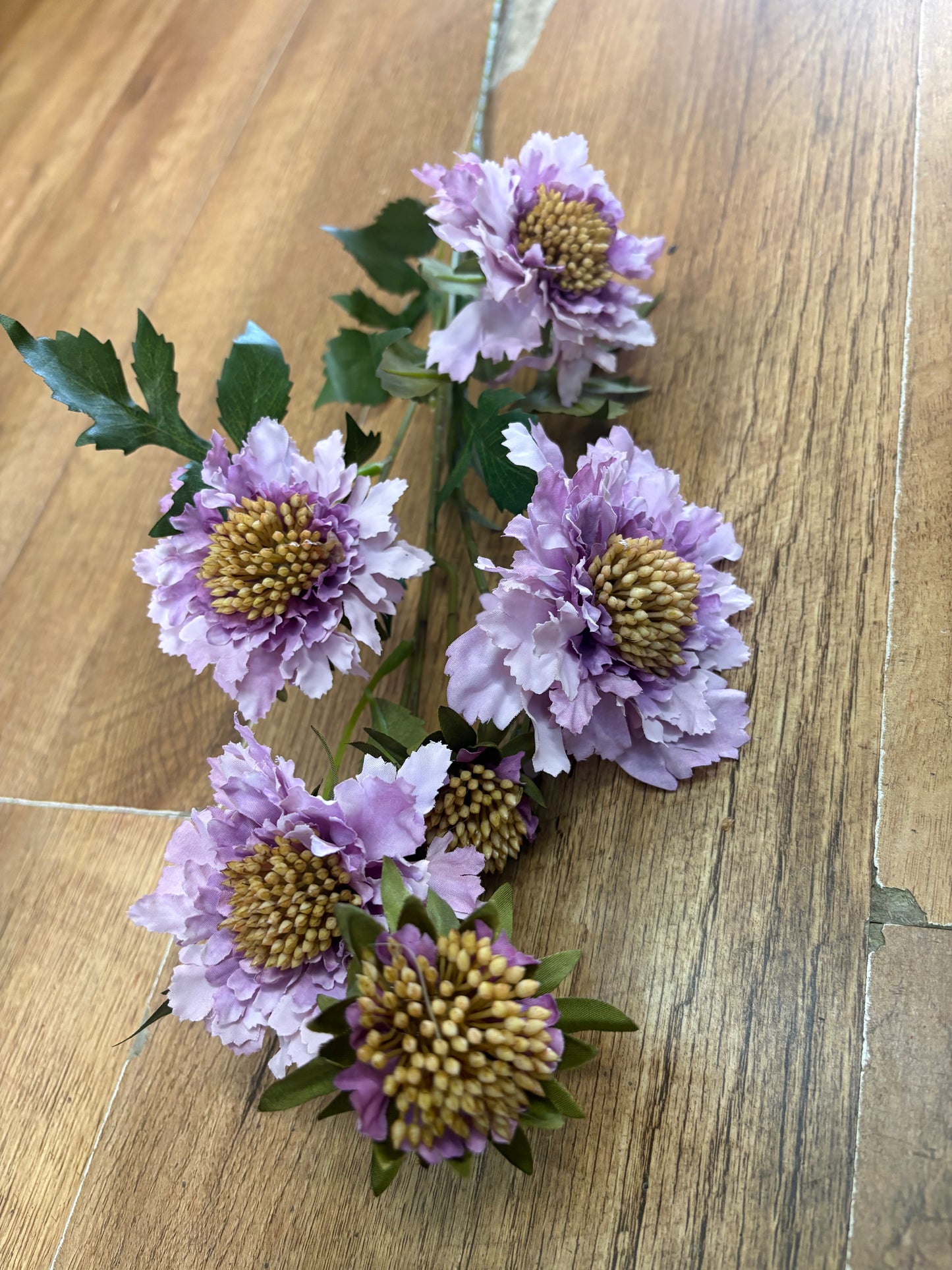 75cm tall Lilac ruffled scabiosa spray