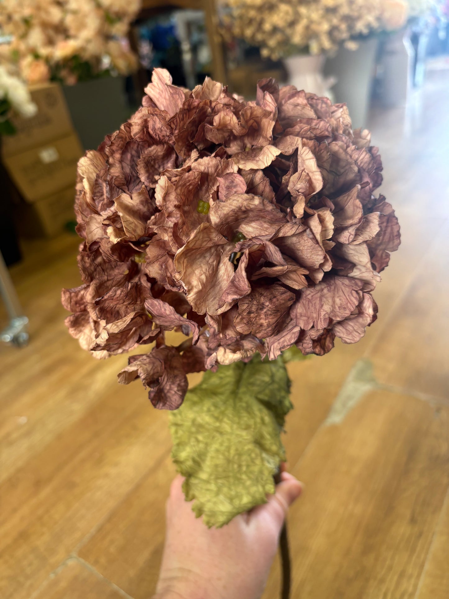 Mocha dried touch ruffled hydrangea