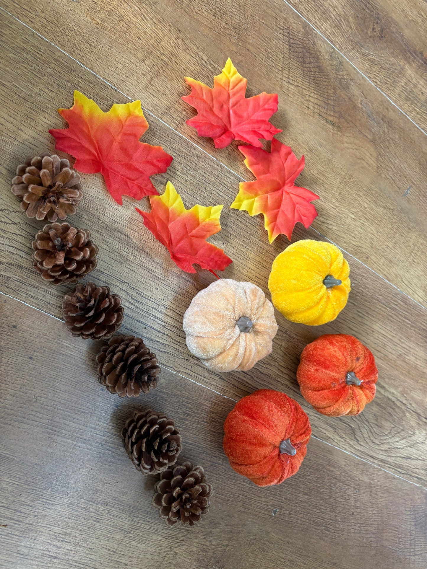Velvet pumpkin, leaves and pine cones set