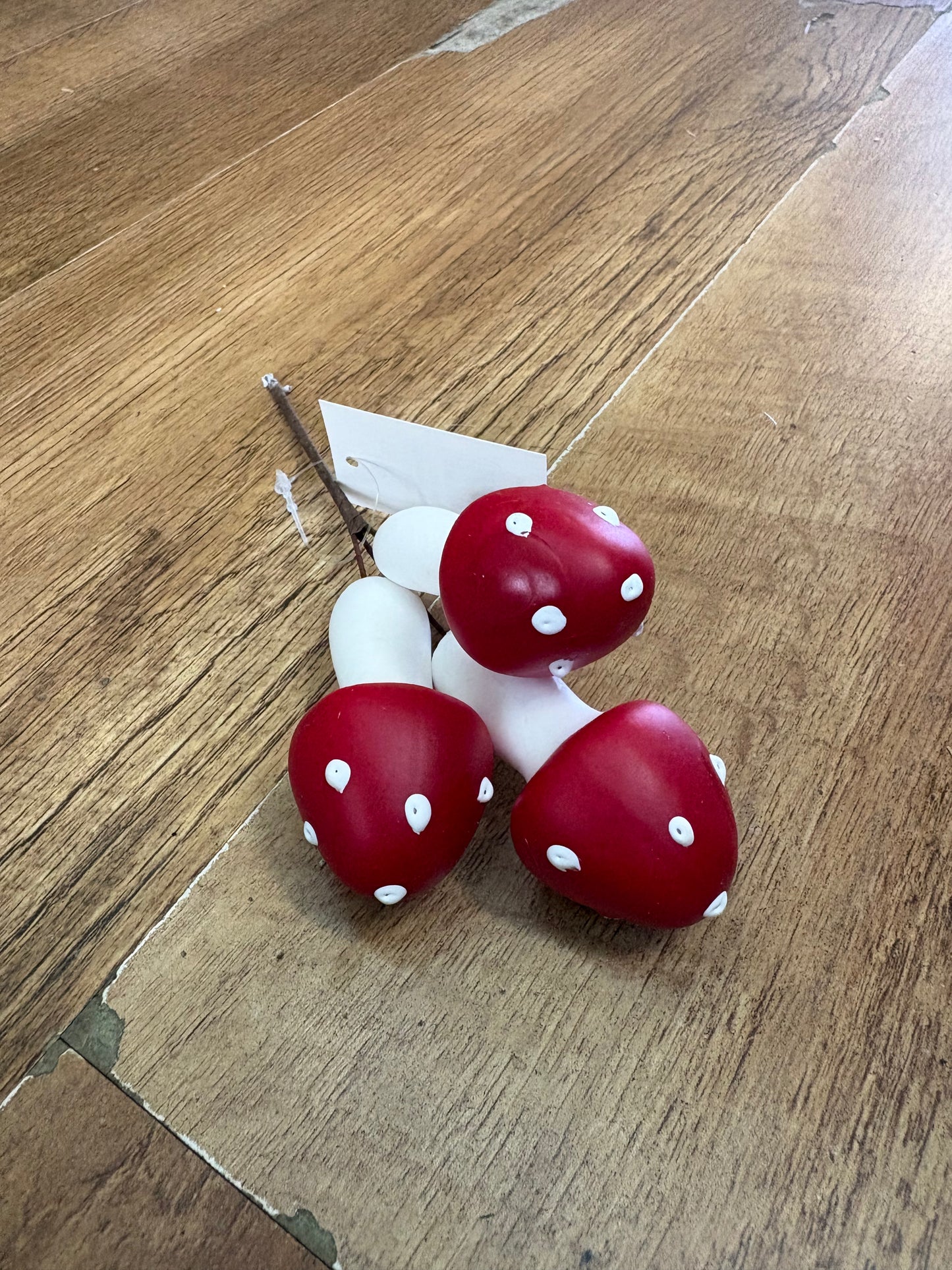 Small red toadstool pick