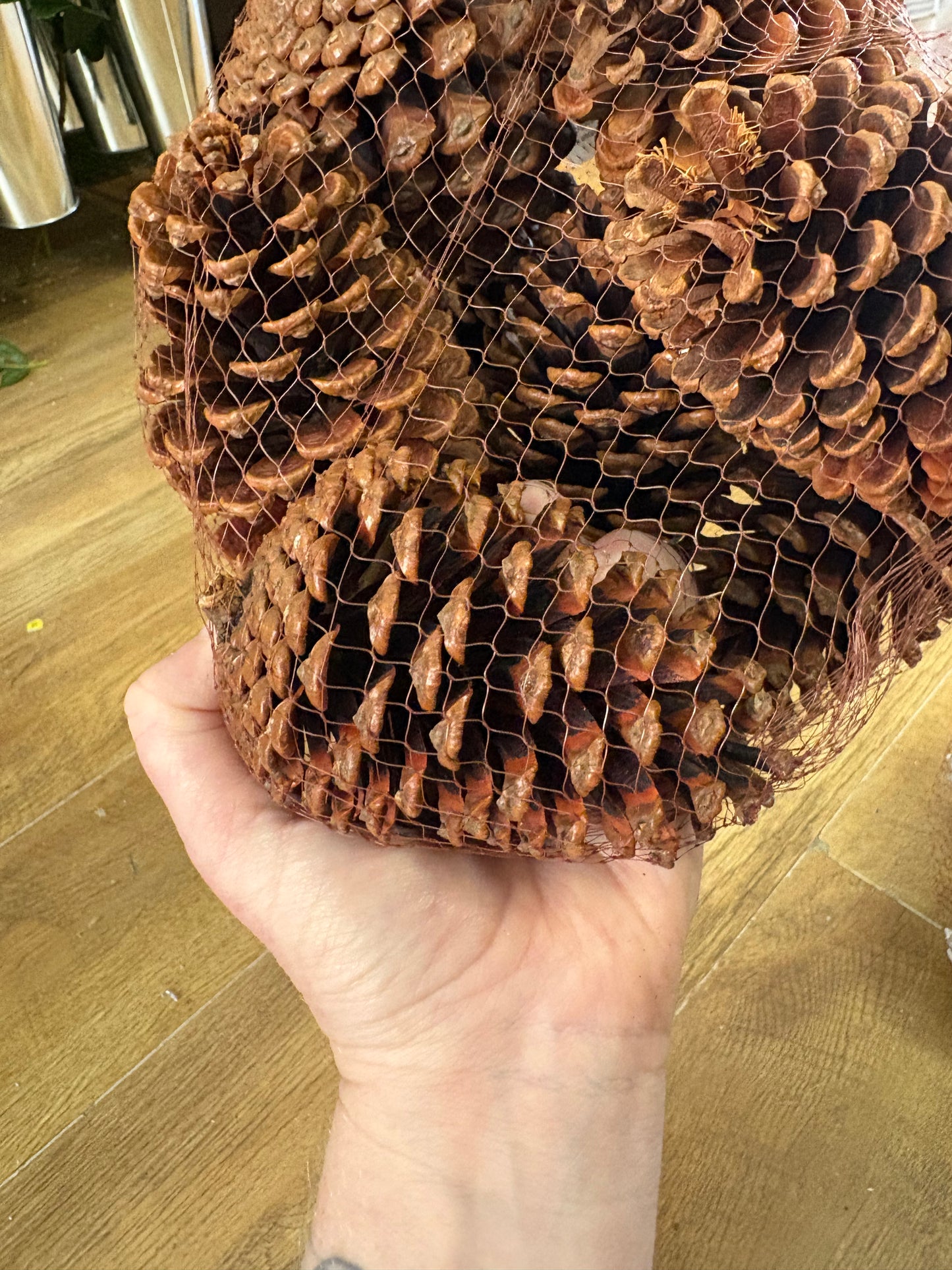 Net of 9 large scented cones - 2 styles available