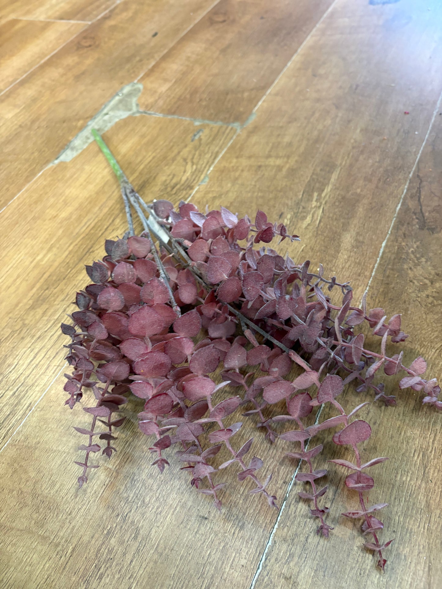 Dusky eucalyptus bunch - 4 colours available