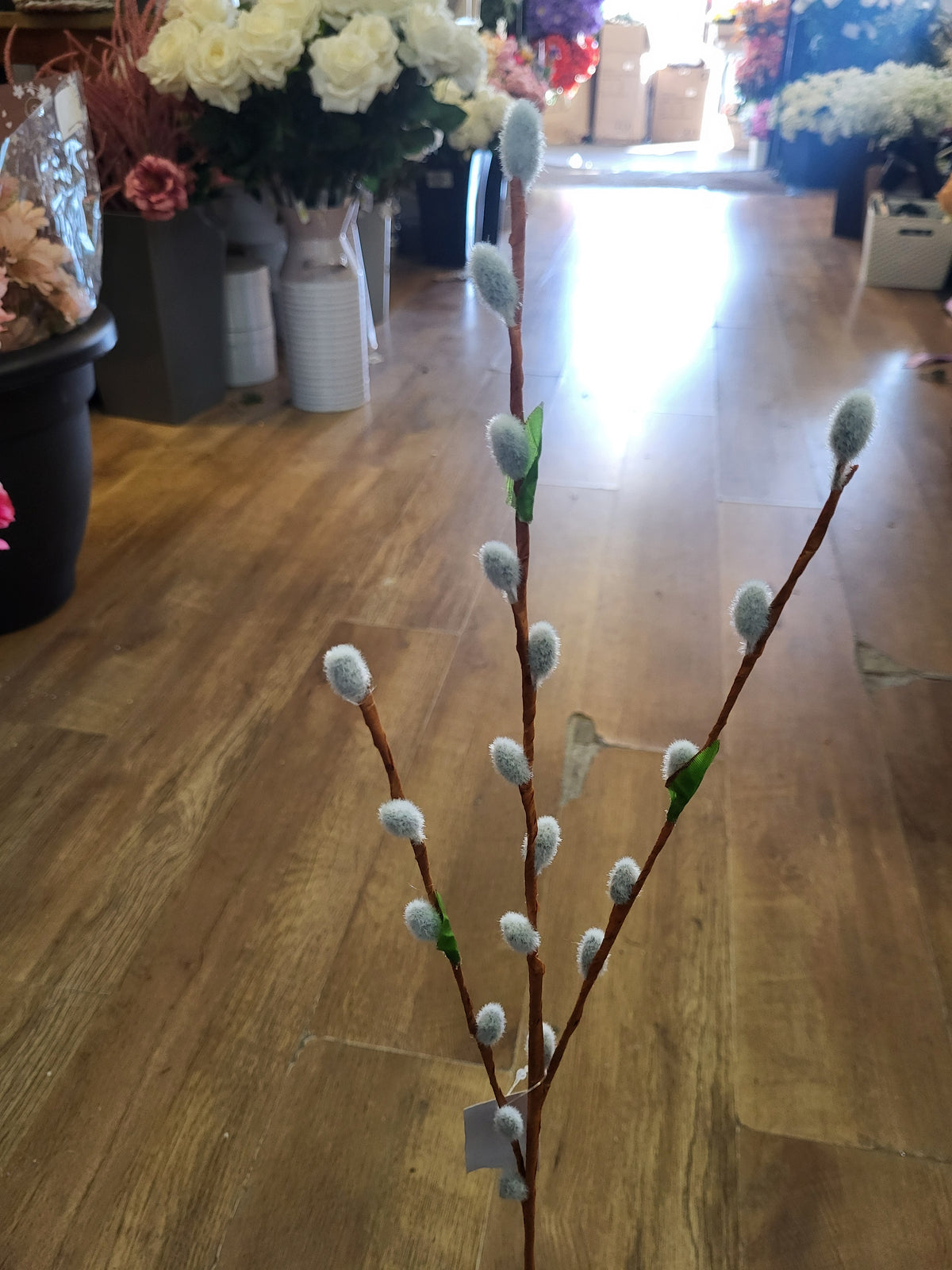 Long stem willow branch image 3