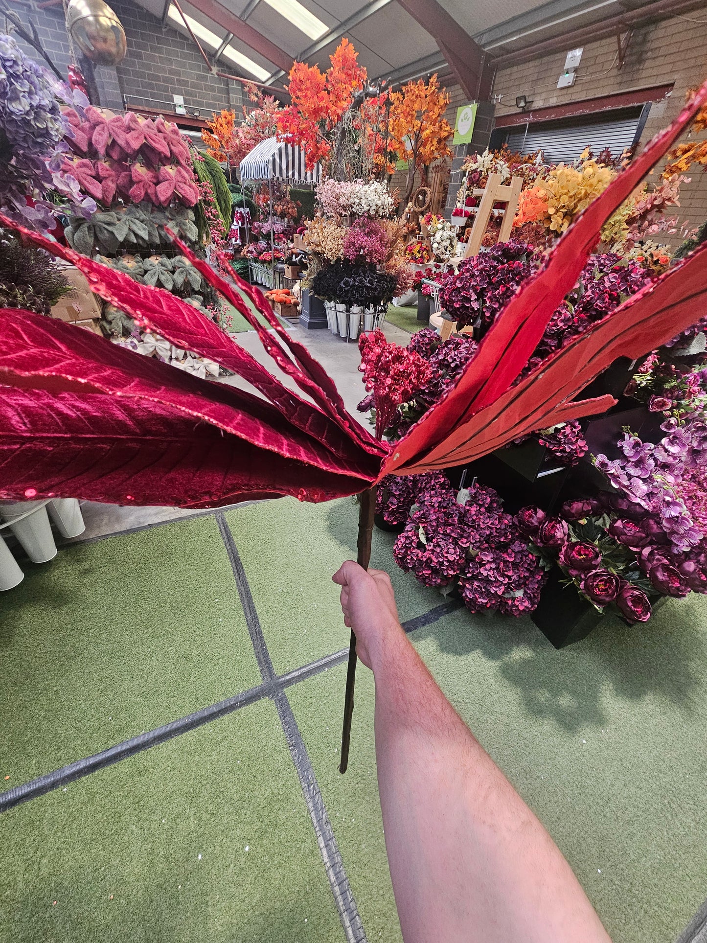 Giant Red Christmas Pointsetta