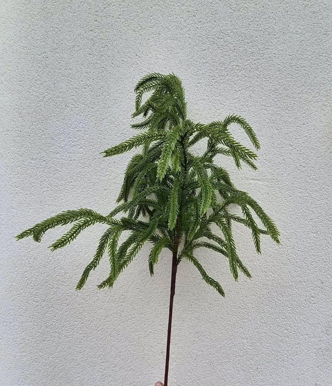 Christmas Branches