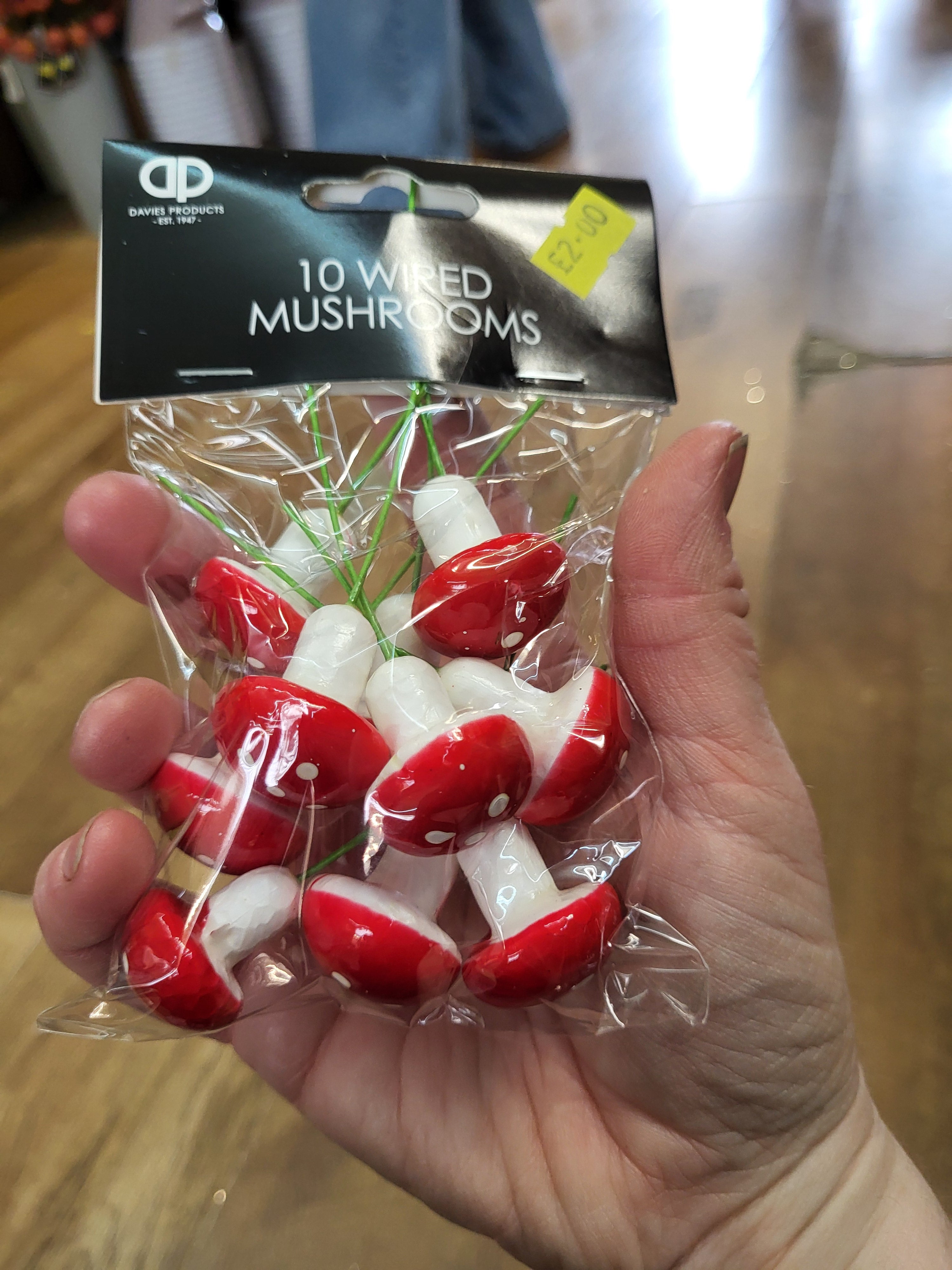 Pack of 10 wired miniature mushrooms image 1