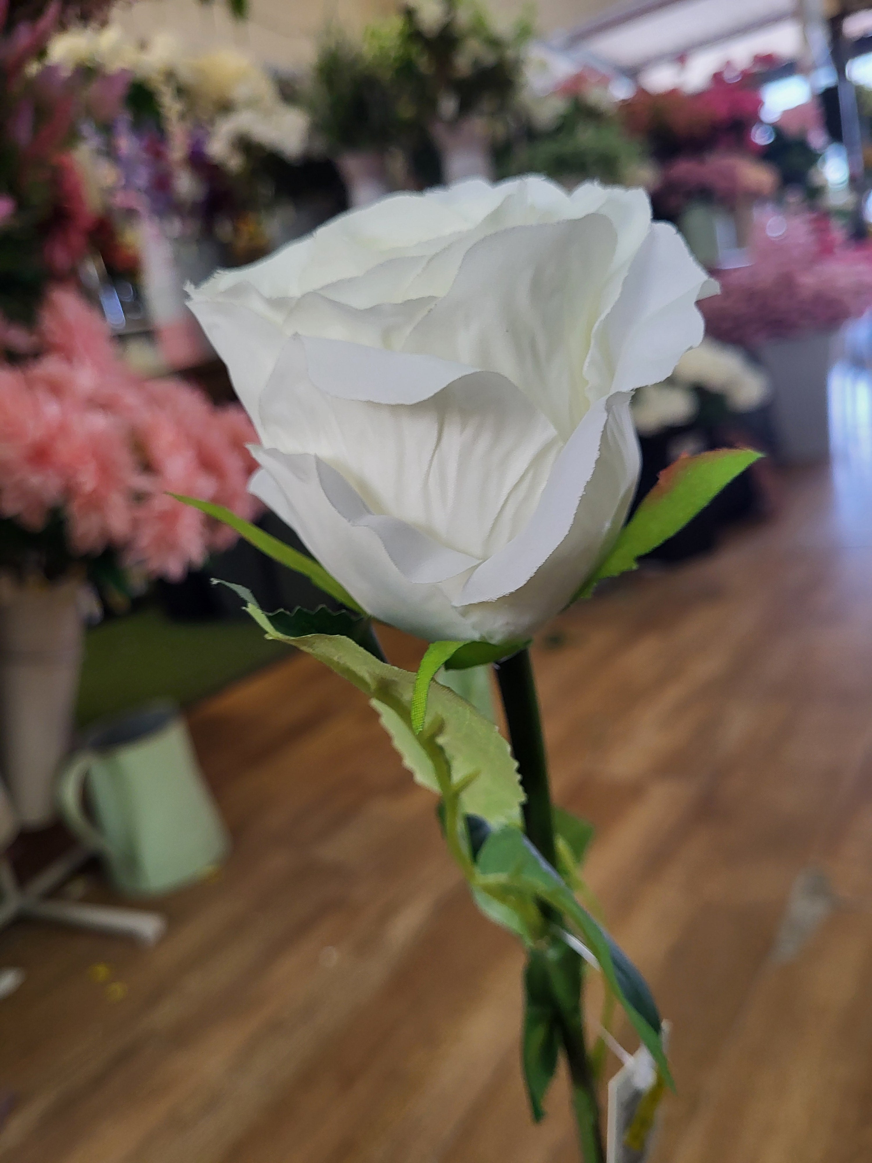 Ivory Lila Rose  image 4