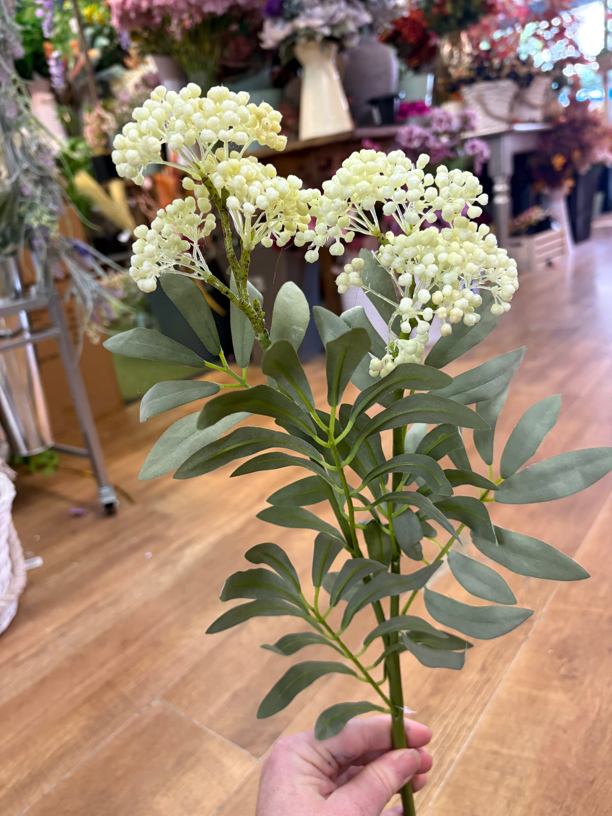 62cm tall cream premium elderberry spray