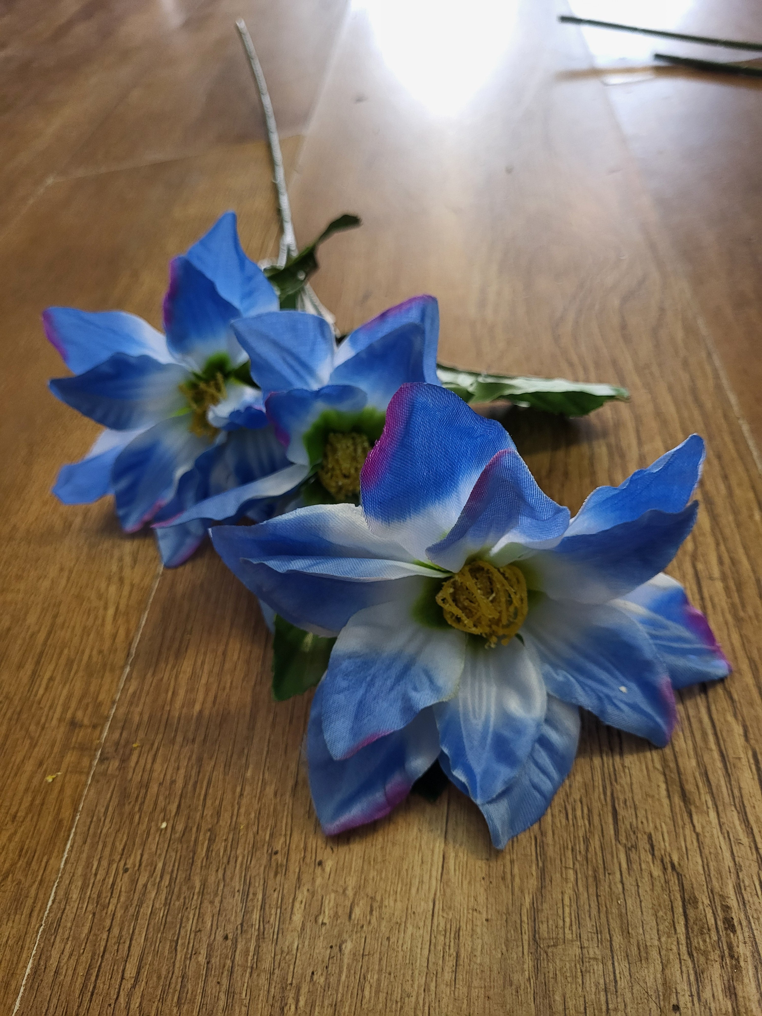 Long stem zinnia - 4 colours available image 3