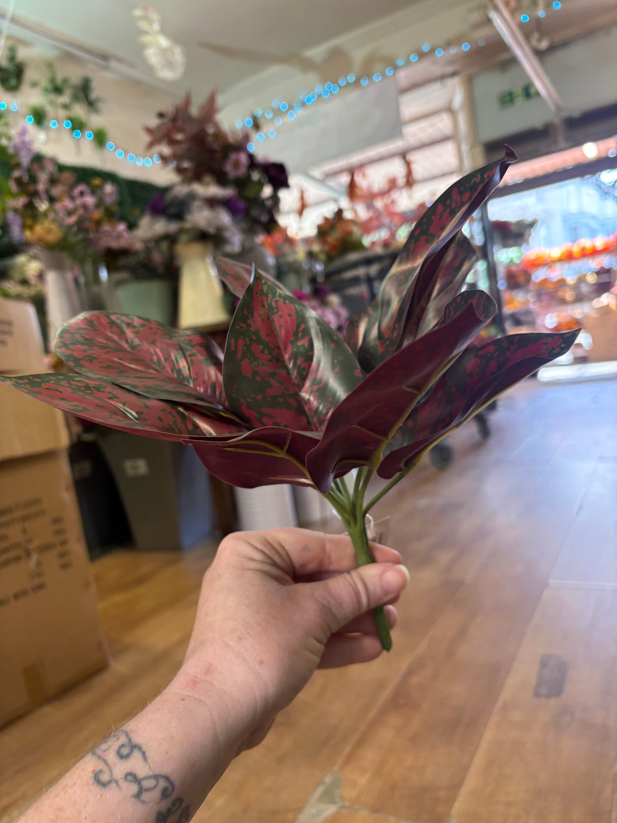 Burgundy and green large leaf bunch